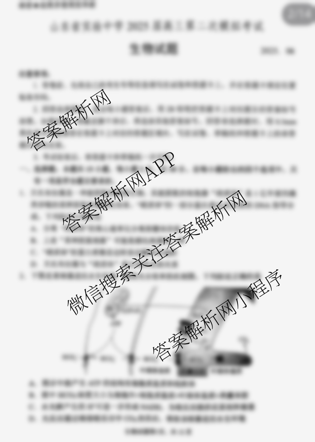 山东省实验中学2025届高三第二次模拟考试2025.06试卷及答案汇总（含地理 物理 语文等）生物试题