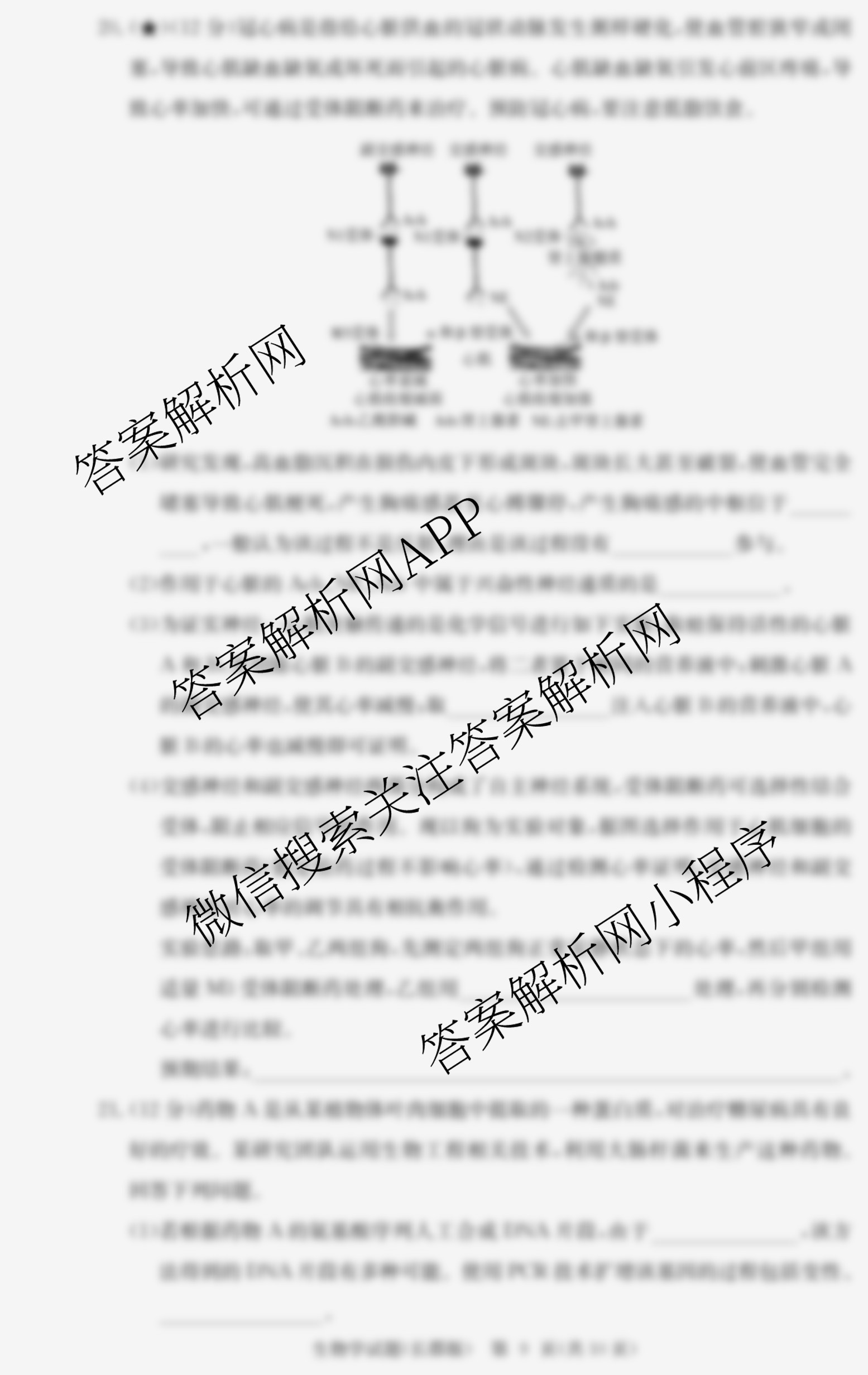 炎德英才大联考长郡中学2026届高三月考试卷(三)各科答案及试卷（9科全）生物试题