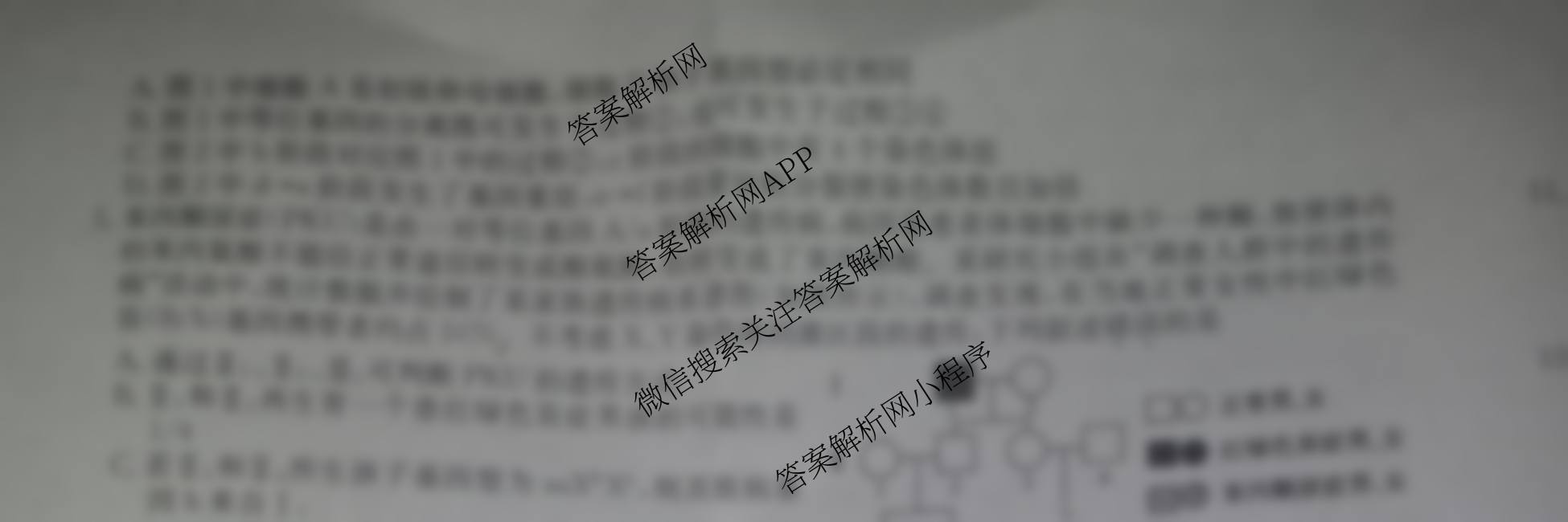 九师联盟2025~2026学年高三核心模拟卷(中)(三)3（含化学(C)、地理(A1)、政治(D4)等）生物试题