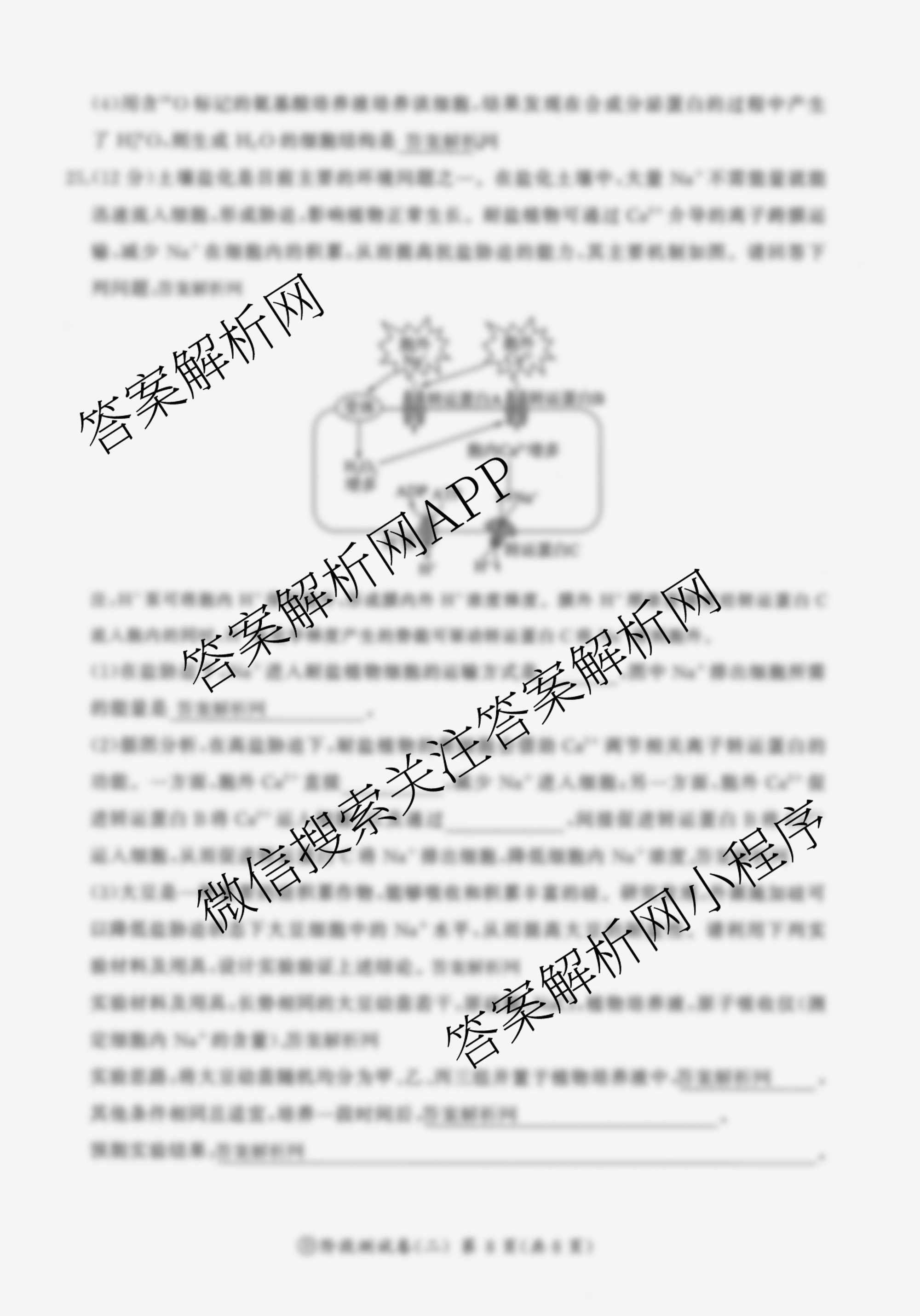 百师联盟2025-2026学年高一上学期阶段测试卷(二)2各科答案及试卷(21科全)生物试题 百师联盟2025-2026学年高一上学期阶段测试卷(二)2各科答案及试卷(21科全)生物试题