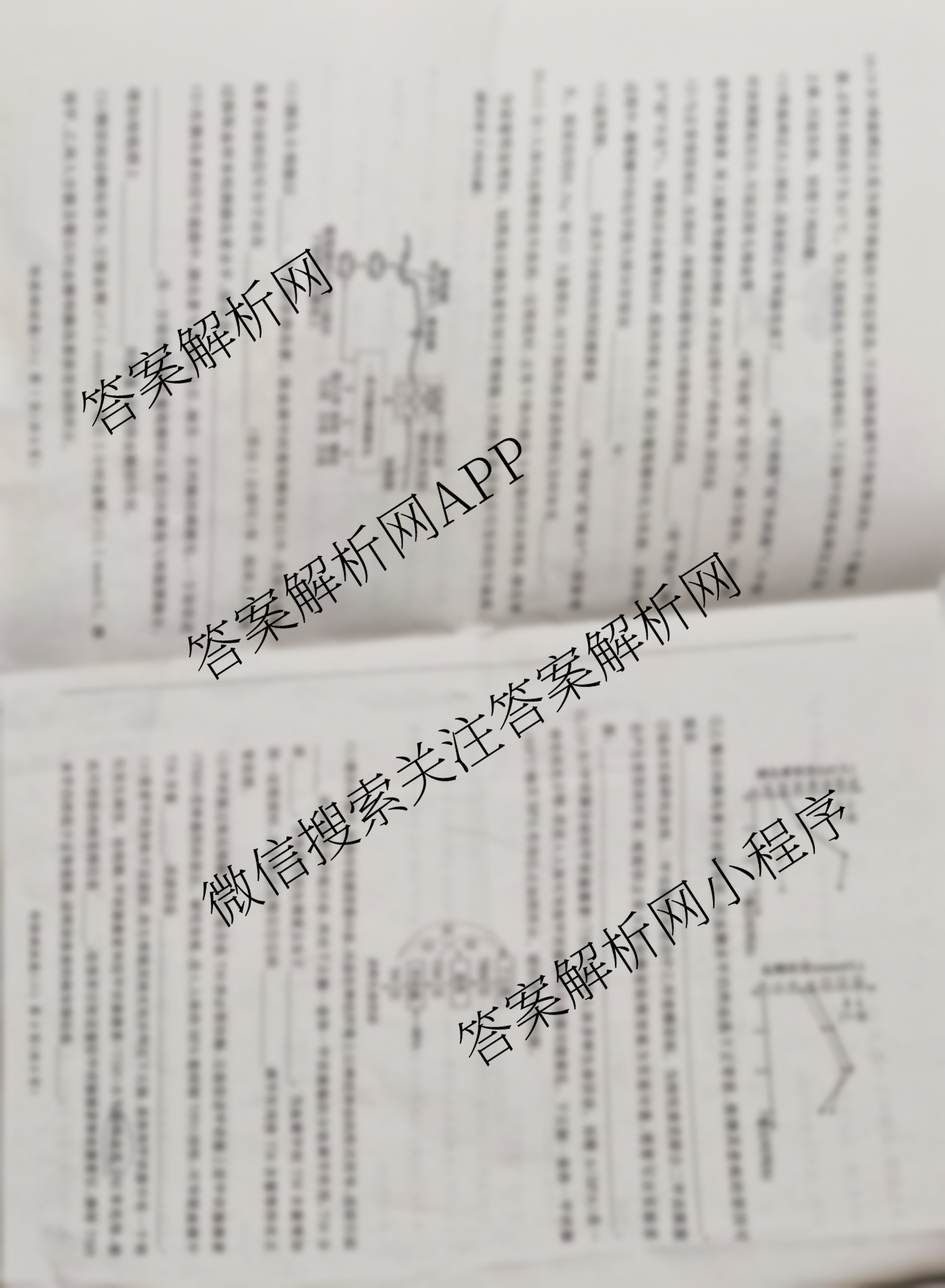 百师联盟2025-2026学年高二上学期阶段测试卷(二)2各科答案及试卷（含生物(75分钟多选)、数学(BSD)、数学(RB)等）生物试题