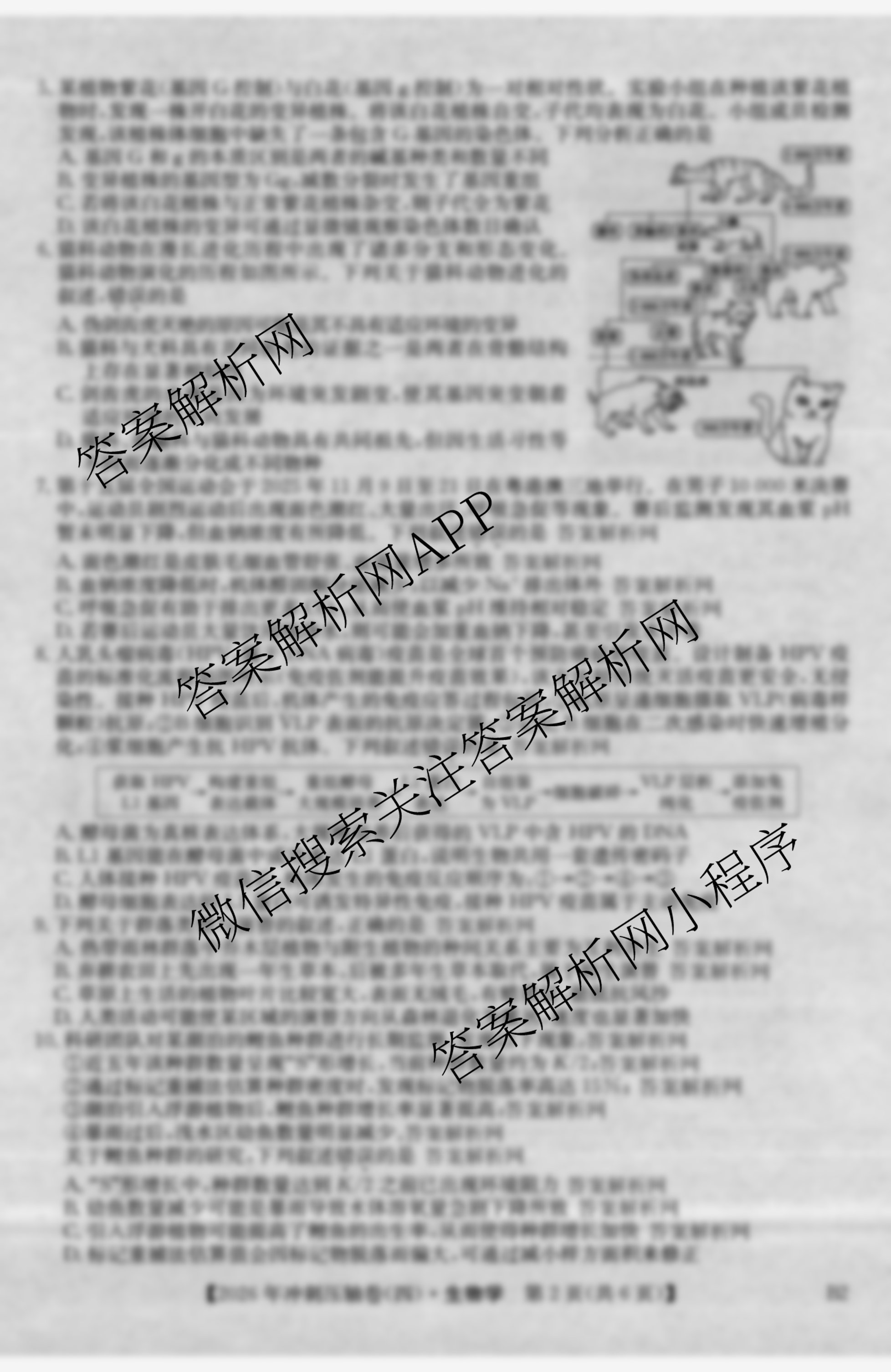 2026年全国高考冲刺压轴卷(四)4（含物理(AH) 数学 政治(湖北)等）生物试题
