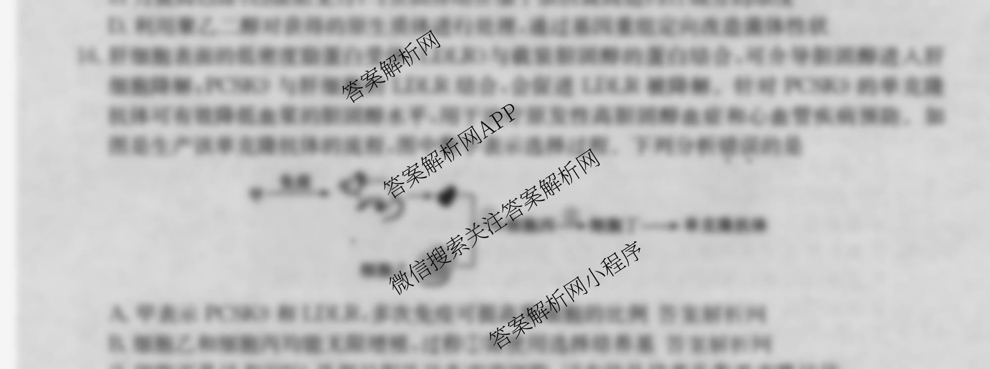 2026年全国高考仿真模拟卷(一)1试卷及答案汇总（含语文、化学(E2)、化学(广西)等）生物试题