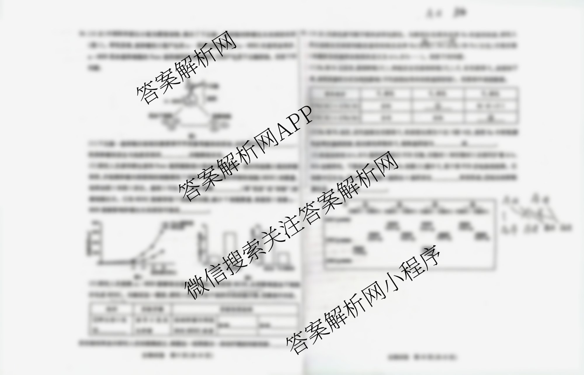 内蒙古2025-2026学年度第一学期高三年级期中教学质量检测试卷（含地理、数学、化学等9份）生物试题
