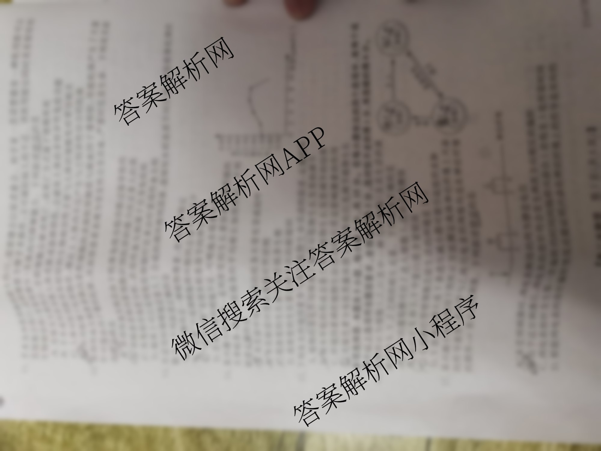 四市普通高中2024-2025学年度高二第一学期期中教学质量检测(25067B)（含政治、化学、英语等9份）生物试题