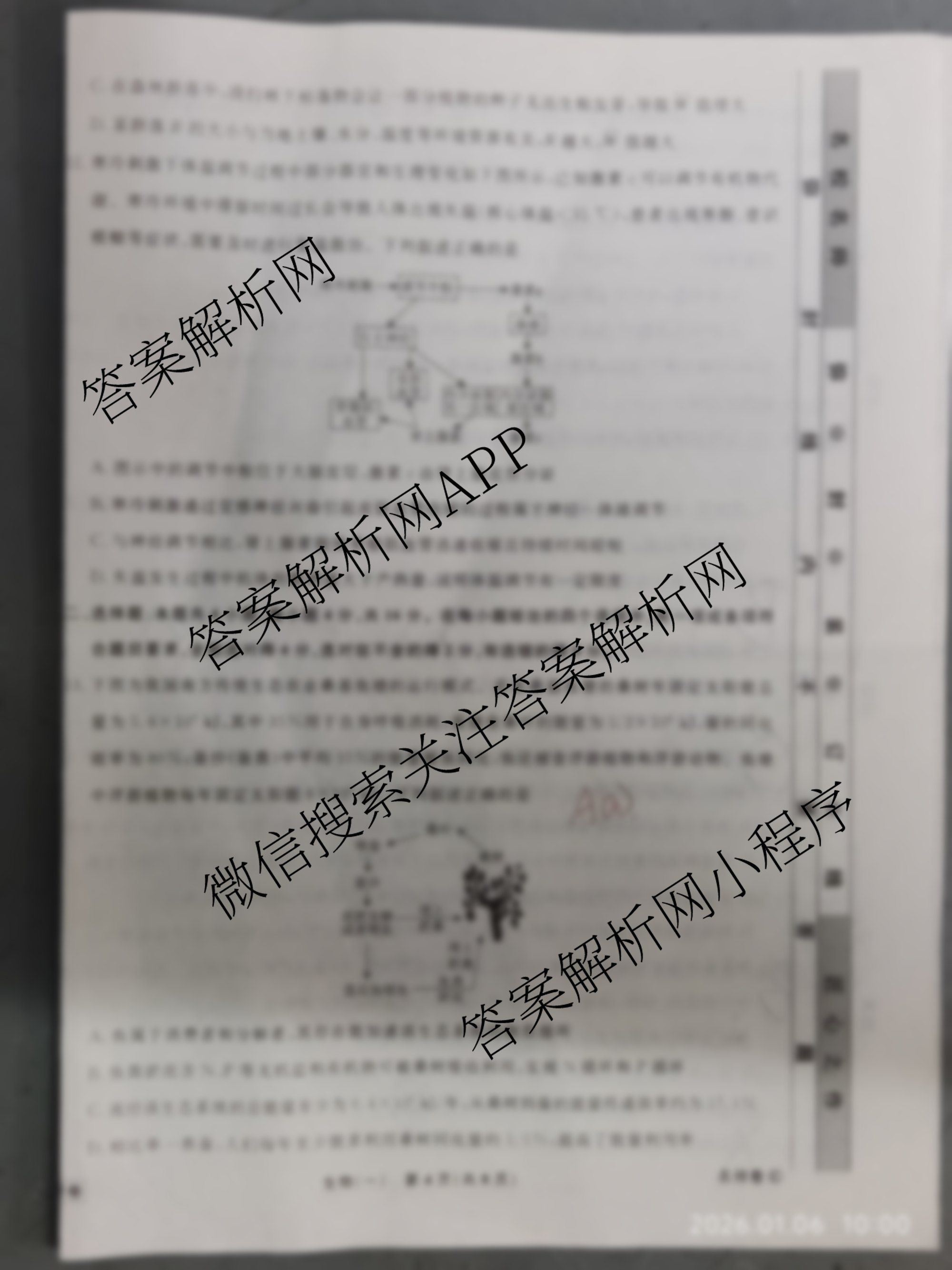 衡水名师卷高考模拟调研卷 2026年普通高等学校招生全国统一考试模拟试题(一)1（含物理(菱形点) 生物(※) 化学(圆圈点)等21份）生物试题