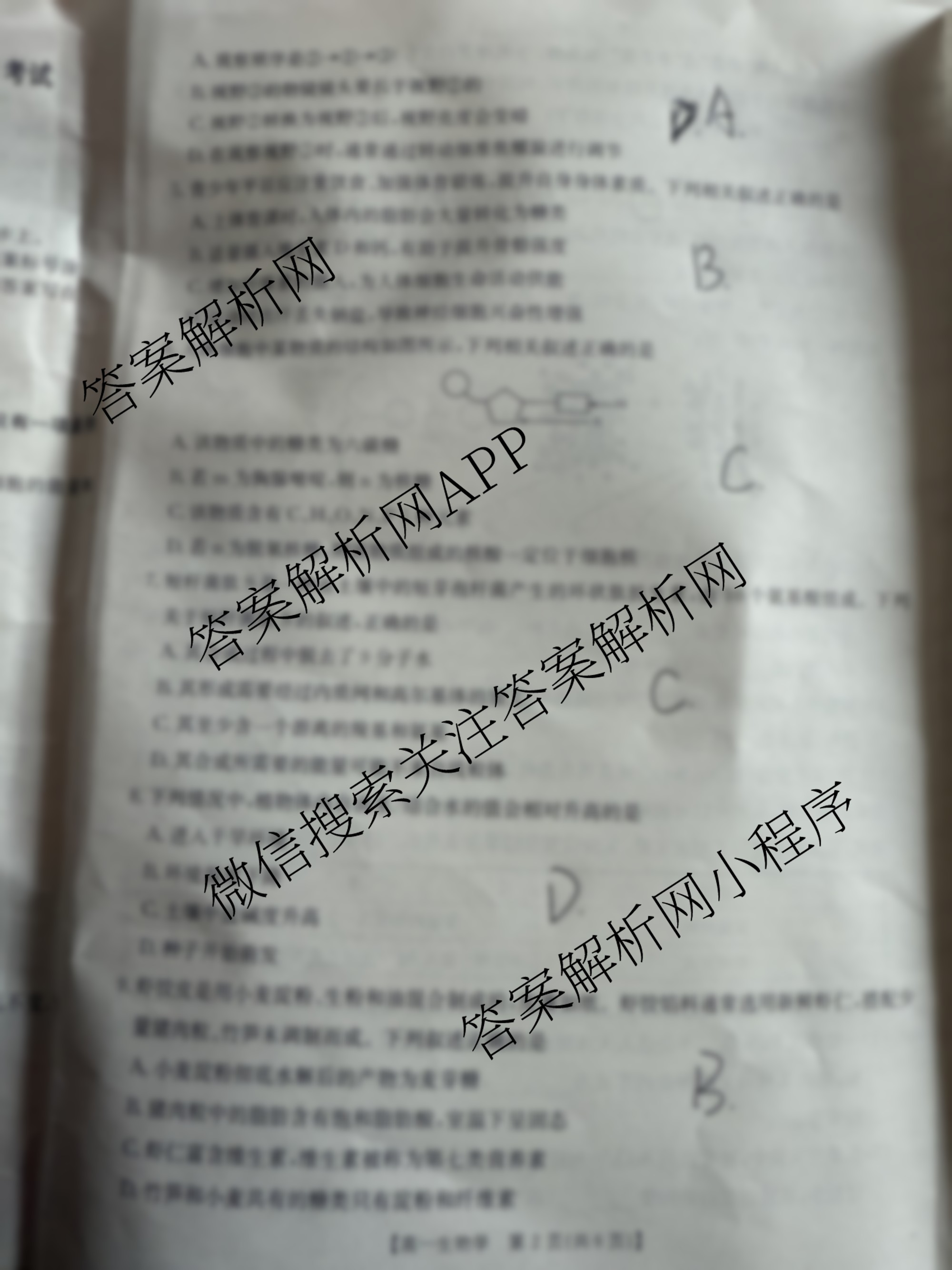 2025-2026学年三晋联盟山西名校高一12月联合考试（9科全）生物试题