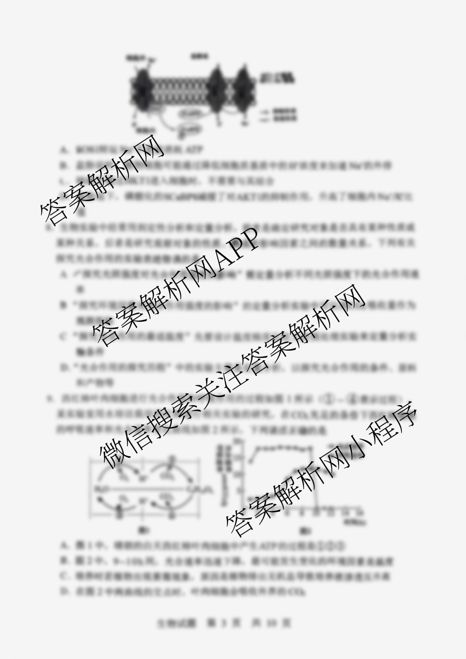 山东省实验中学2026届高三第一次诊断性考试(2025.10)各科答案及试卷: 含化学 历史 数学试卷解析生物试题