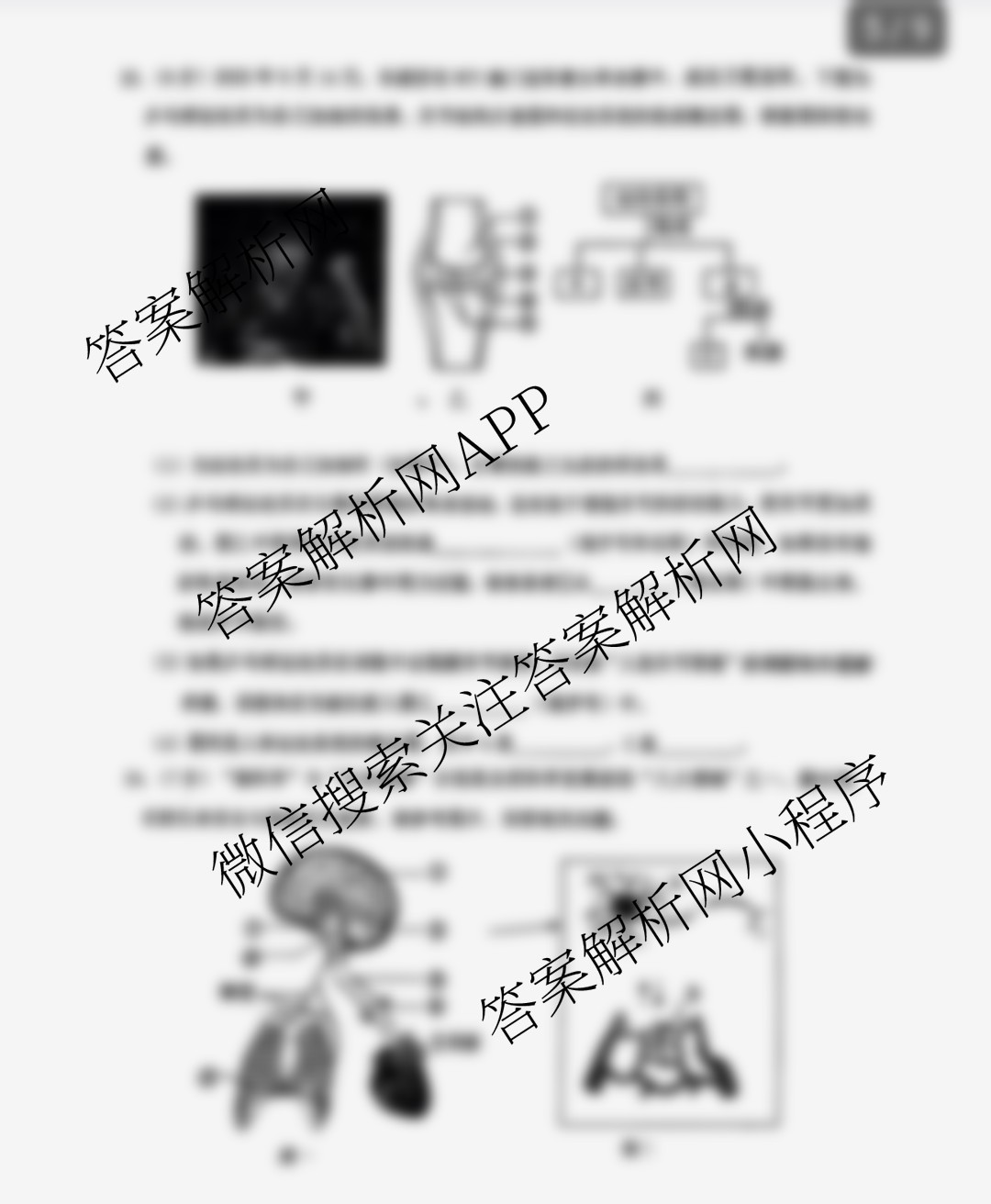吉林省长春市第一零三中学2025-2026学年度上学期八年级大练一试卷及答案汇总(已更新物理、道德与法治、历史等8份)生物试题