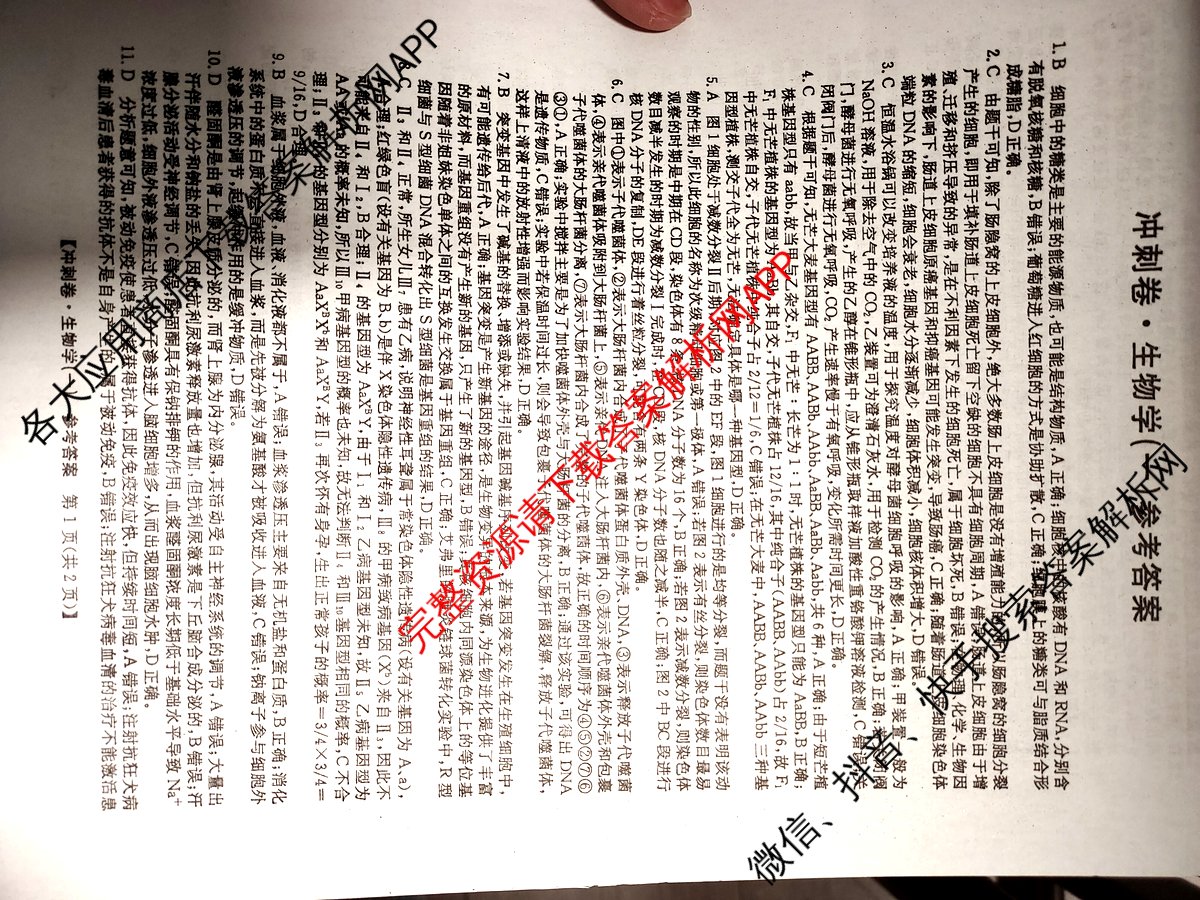 2024年湖北省普通高中学业水平选择性考试冲刺压轴卷(一)1生物(湖北)答案