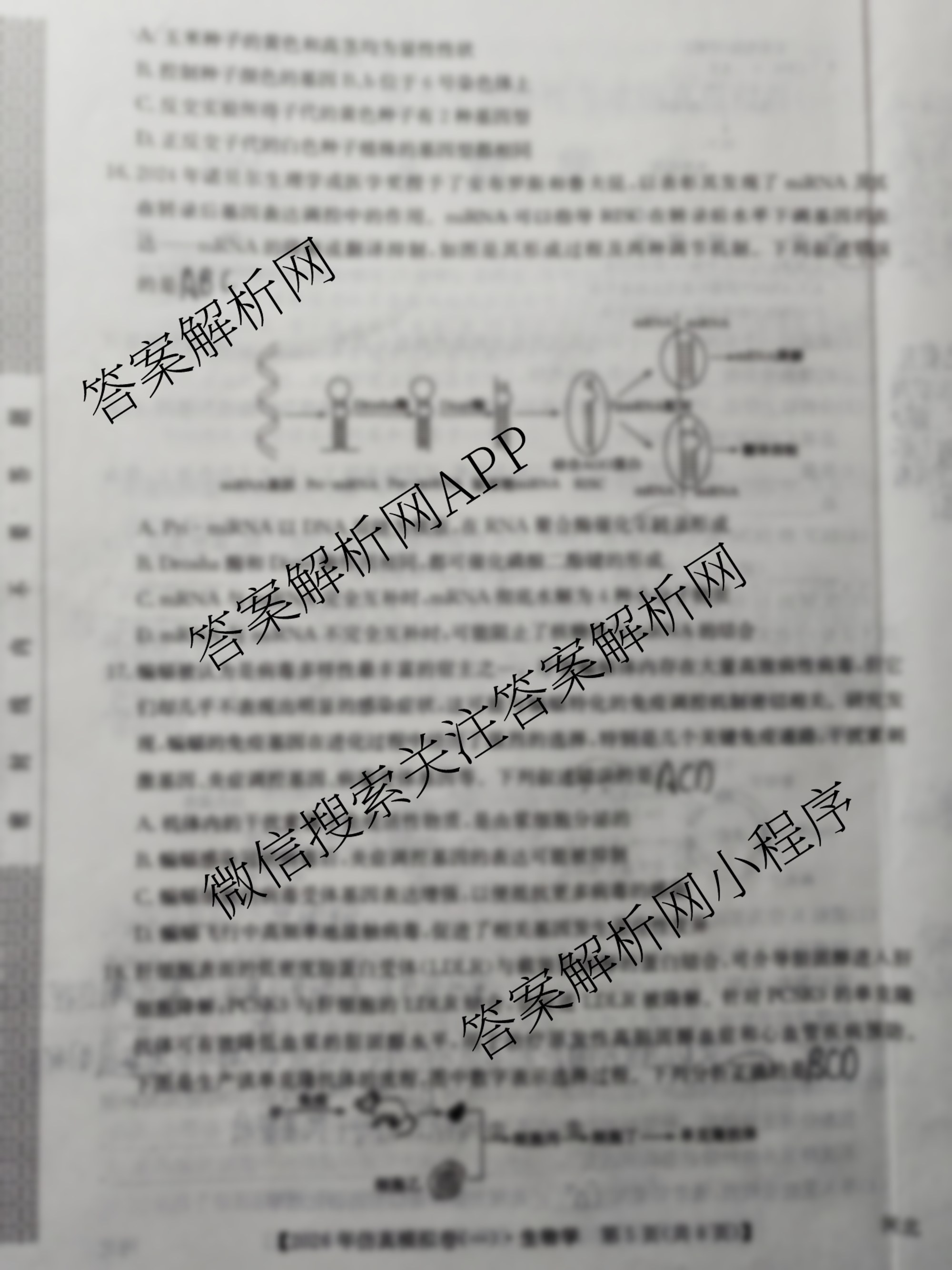 2026年全国高考仿真模拟卷(一)1试卷及答案汇总（含语文、化学(E2)、化学(广西)等）生物试题