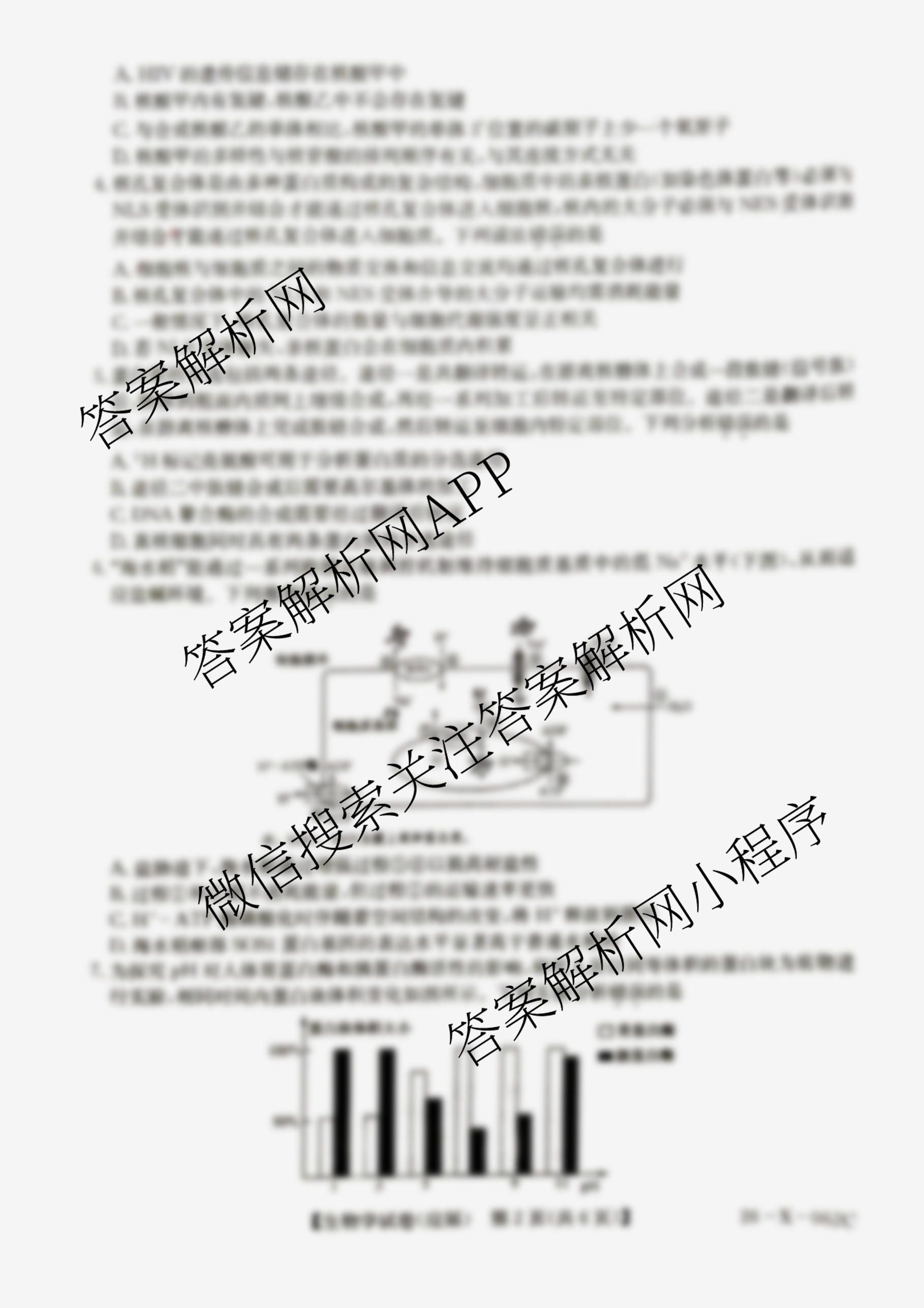 安徽省2025~2026学年度高三年级九月份月考(26-X-062C)（11科全）生物试题