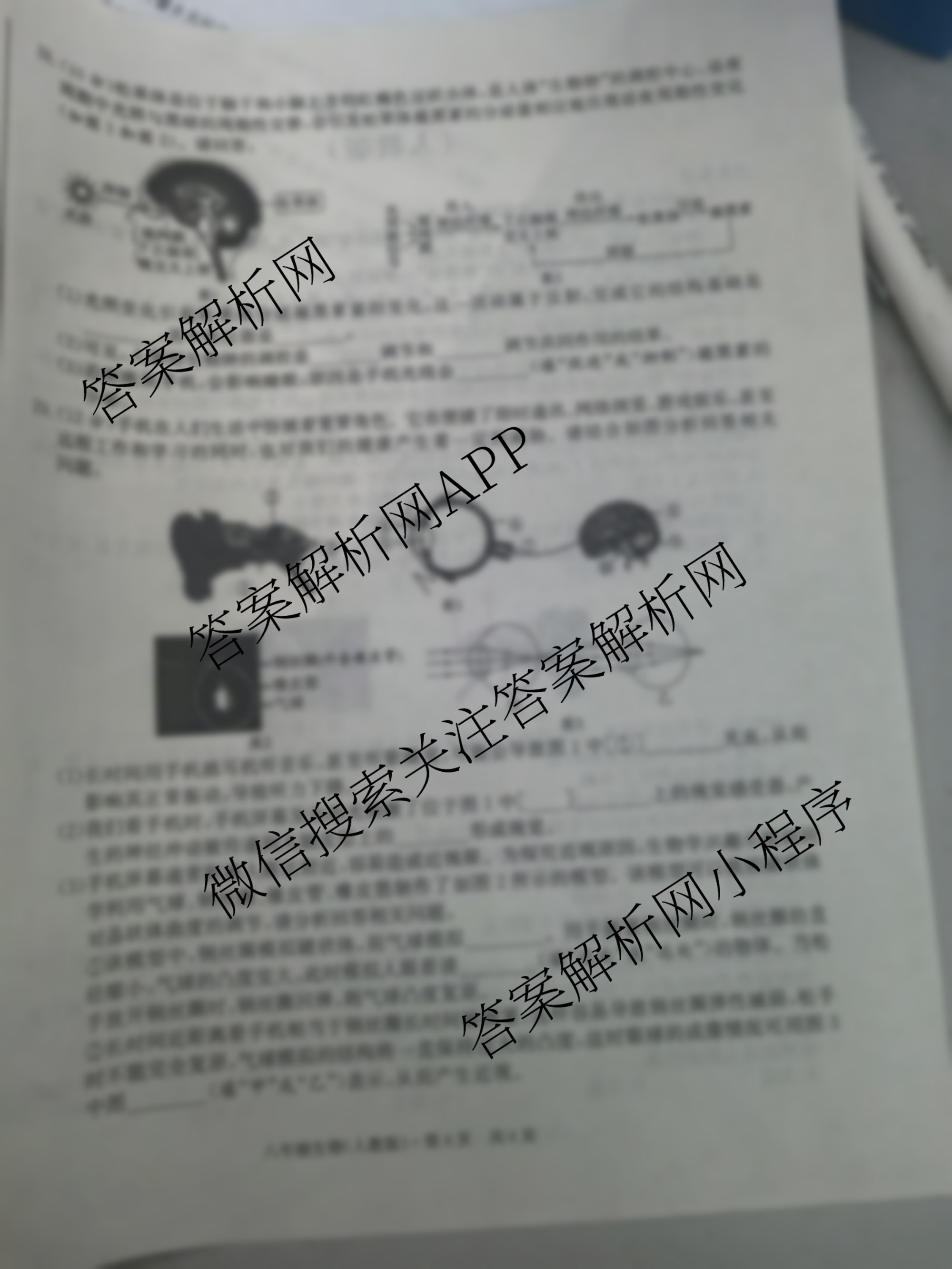 江淮名卷安徽省2025-2026八年级10月考试(无标题)[第一次月考]各科答案及试卷(已更新数学(北师大版)、英语(译林版)、英语(人教版)等18份)生物试题