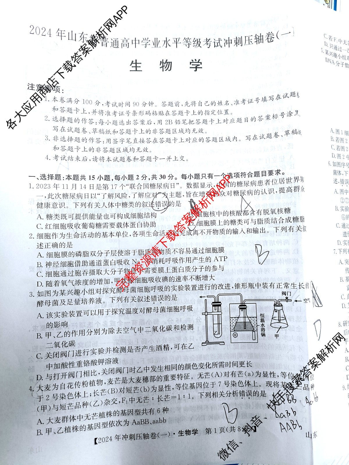 2024年山东省普通高中学业水平等级考试冲刺压轴卷(一)1生物(山东)试题