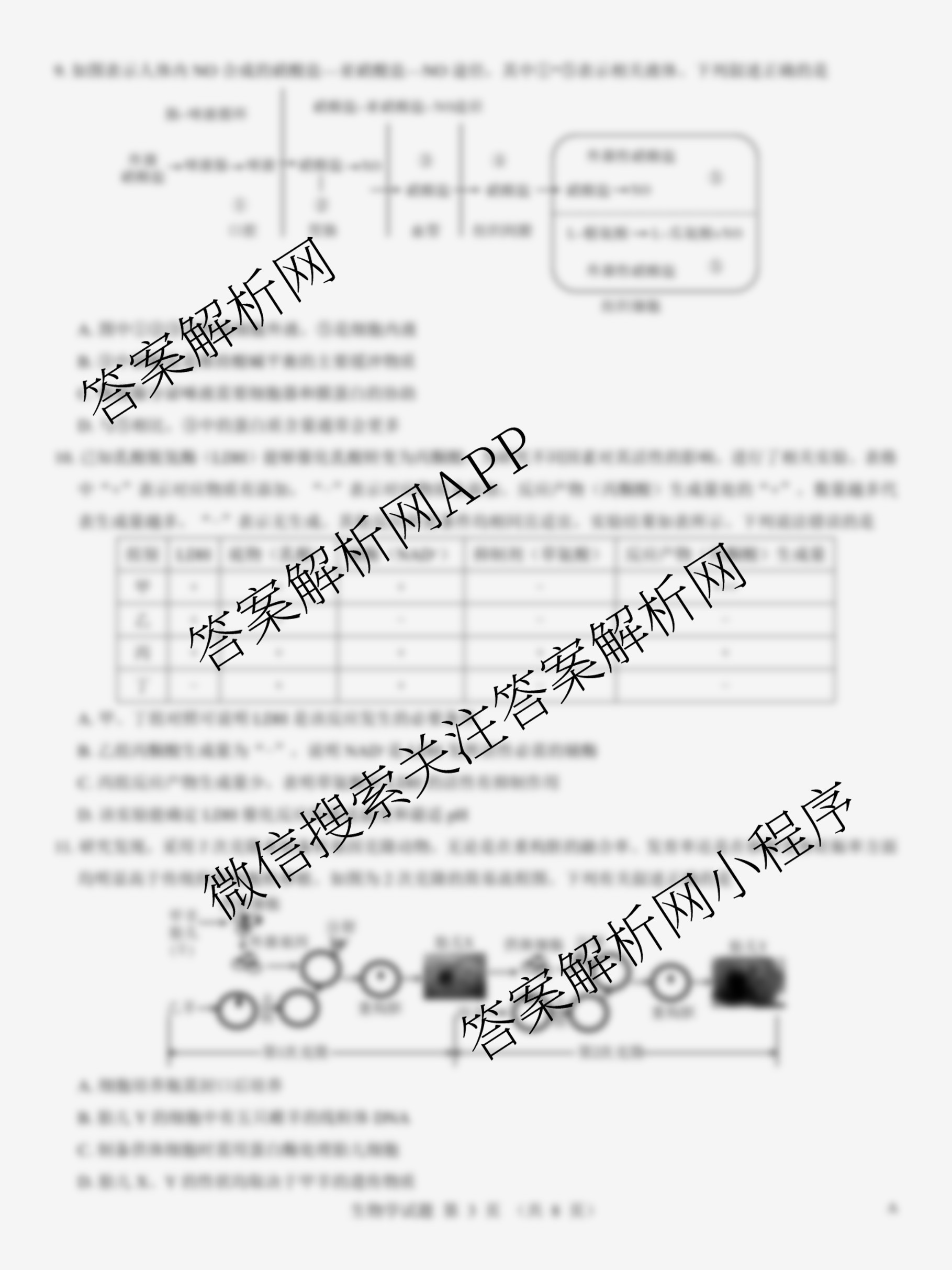 名校教研联盟2026届高考仿真模拟卷(样卷)试卷及答案汇总(11科全)生物试题 名校教研联盟2026届高考仿真模拟卷(样卷)试卷及答案汇总(11科全)生物试题