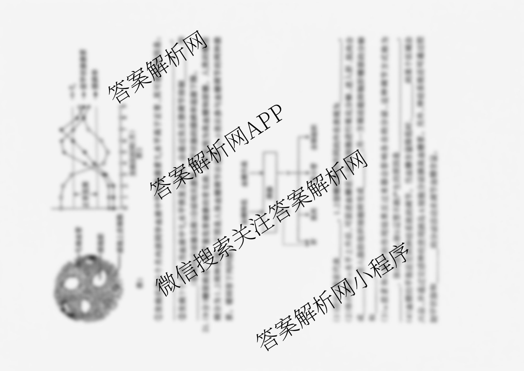 三重教育2025-2026学年高二年级阶段性考试各科答案及试卷（9科全）生物试题