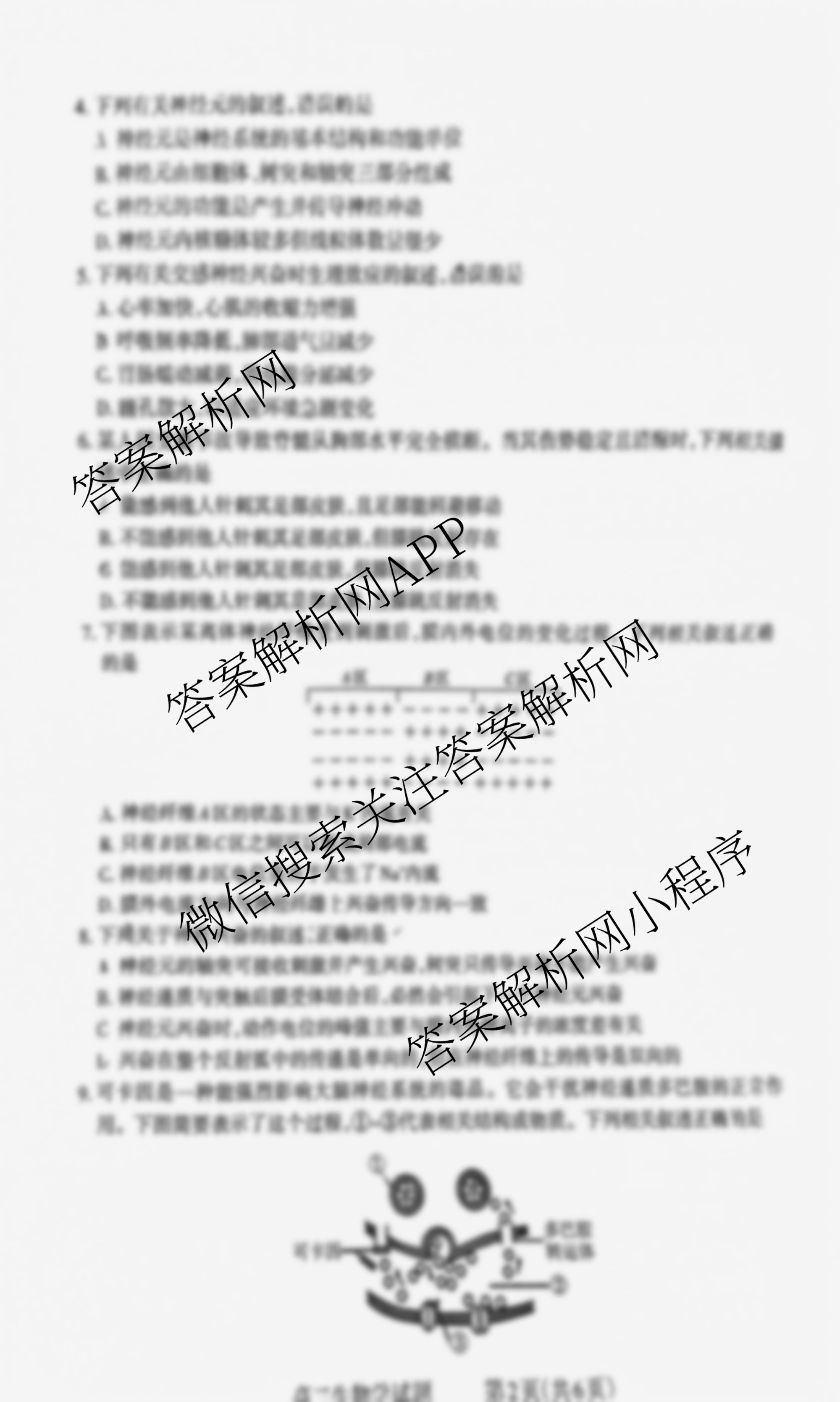 三重教育2025-2026学年高二年级阶段性考试各科答案及试卷（9科全）生物试题