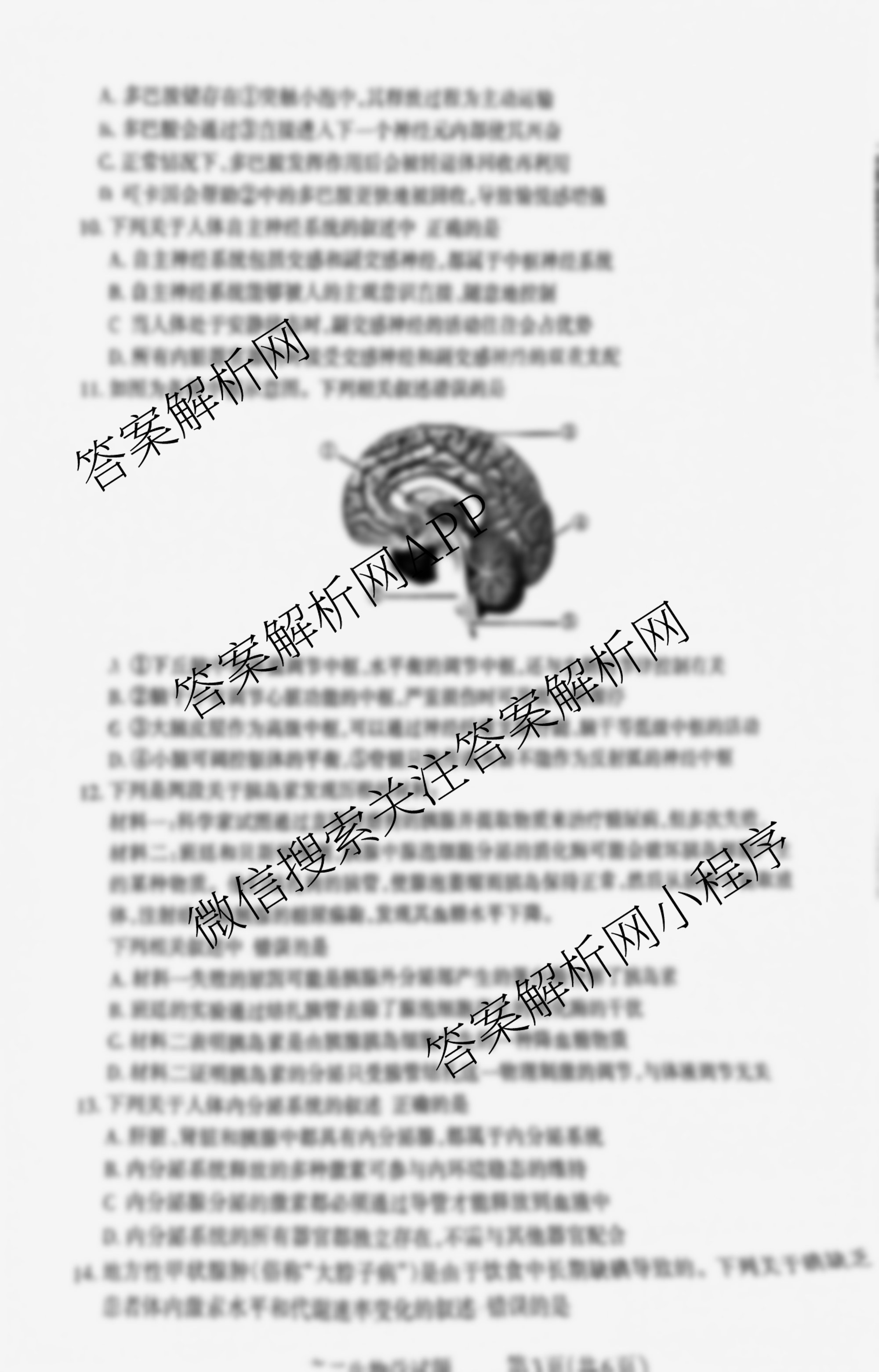 三重教育2025-2026学年高二年级阶段性考试各科答案及试卷（9科全）生物试题