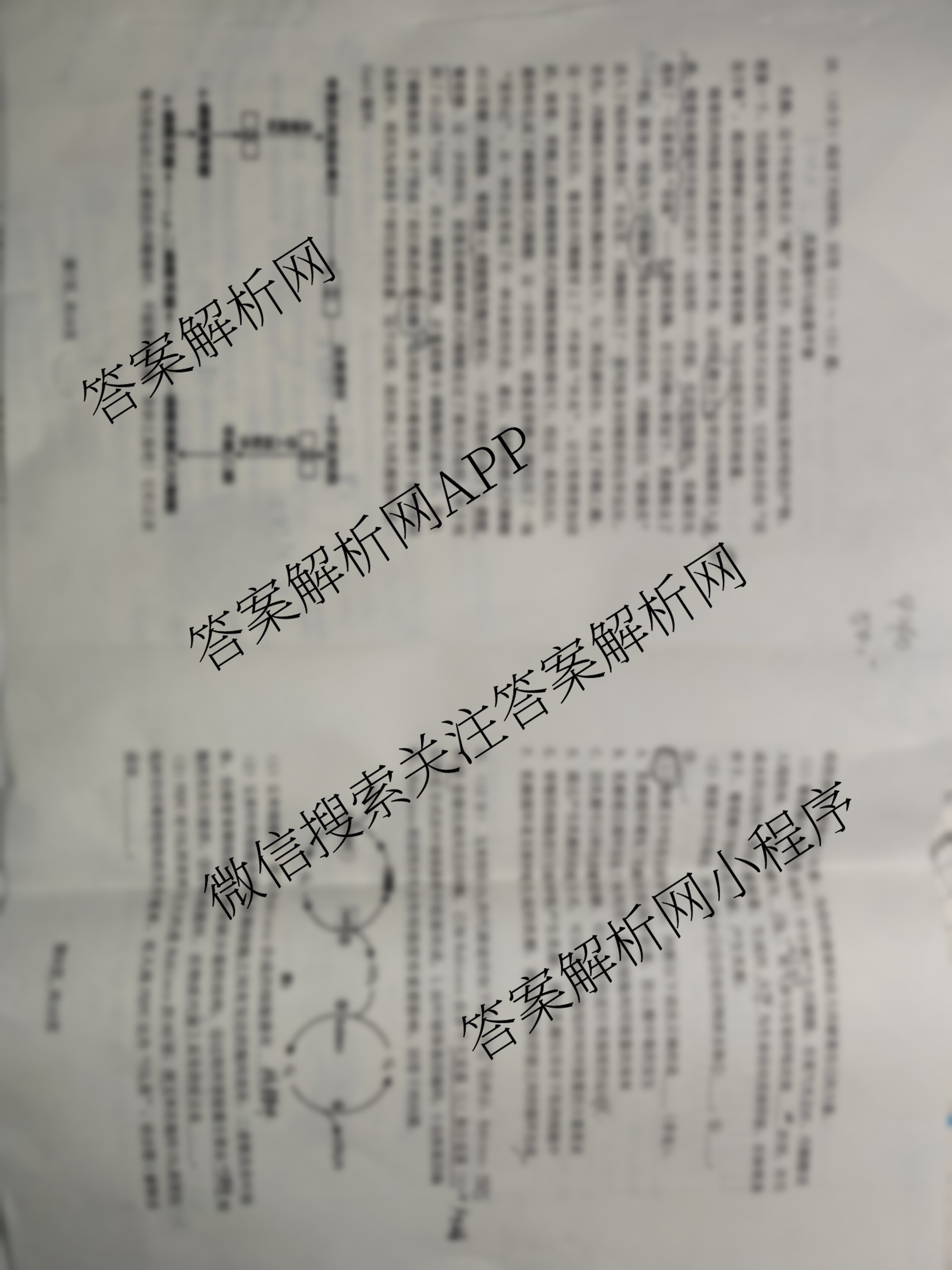 安徽省2024-2025学年高一第二学期蚌埠市A层高中第四次联考各科答案及试卷（9科全）生物试题