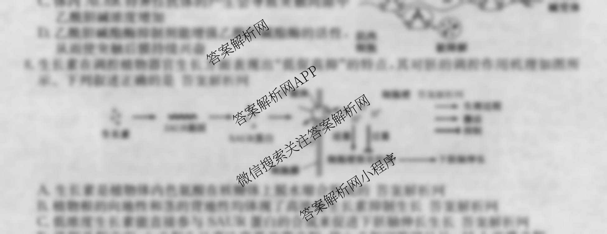 2026年全国高考冲刺压轴卷(二)2（含地理(B1)、政治(四川)、物理(河南)等）生物试题