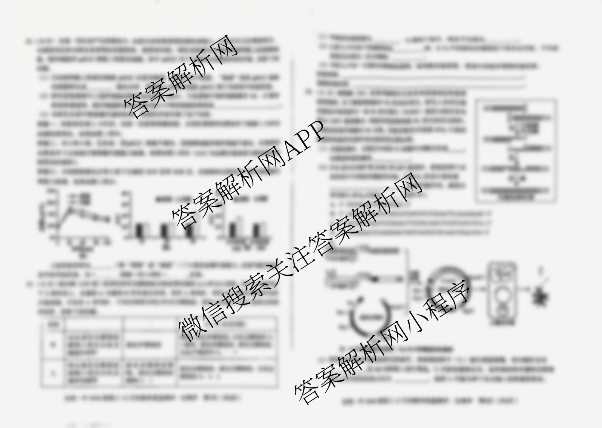 安徽省十联合肥一中2026届高三12月份教学质量测评各科答案及试卷（含政治、物理、英语等）生物试题