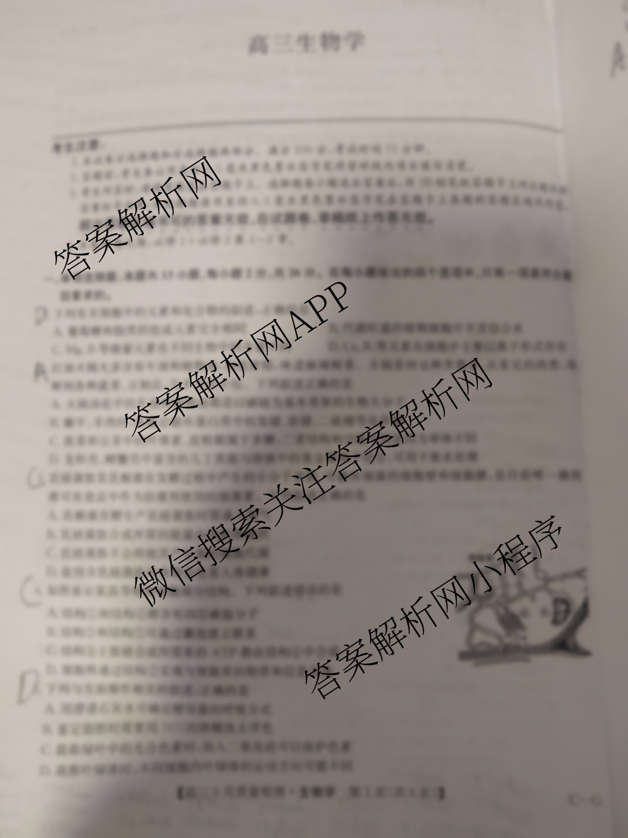 九师联盟2026届高三9月质量检测巩固卷(G)各科答案及试卷（含物理(N-G)、数学(X-G)、历史(H-G)等42份）生物试题