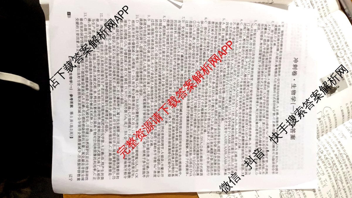 2024年辽宁省普通高中学业水平选择性考试冲刺压轴卷(一)生物(辽宁)答案