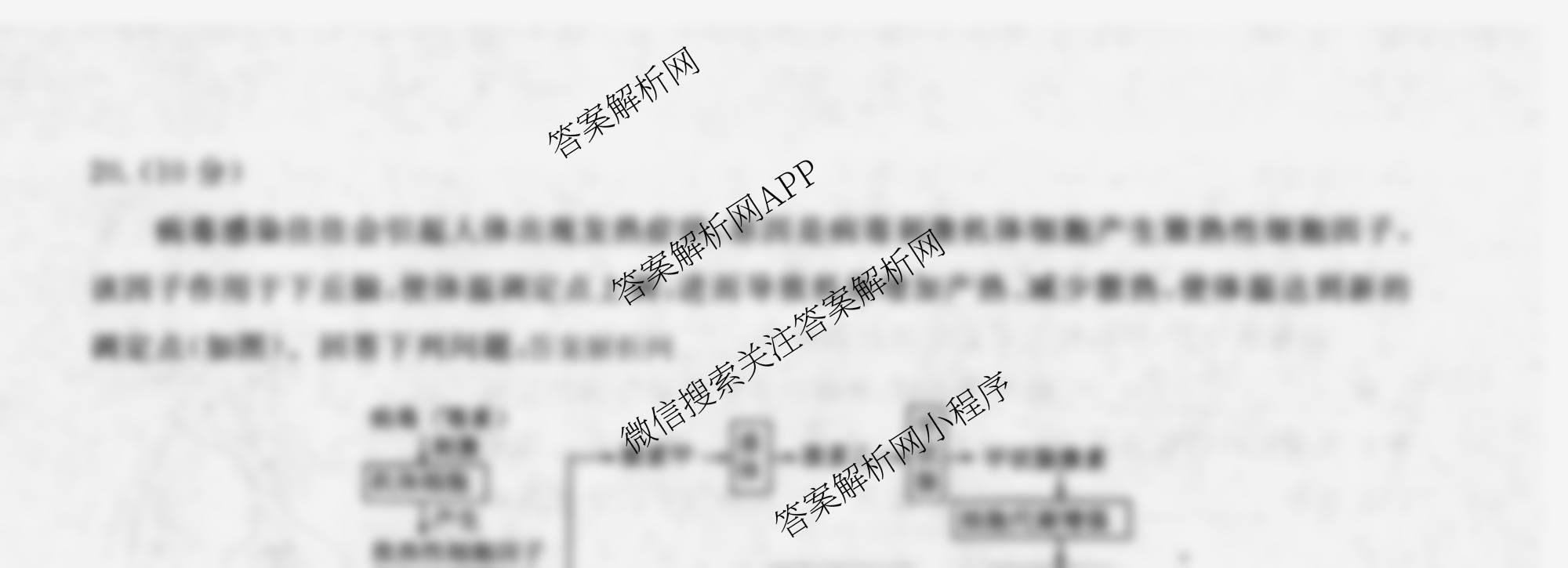 衡水金卷先享题月考卷2025-2026学年度上学期高二年级二调考试各科答案及试卷（9科全）生物试题
