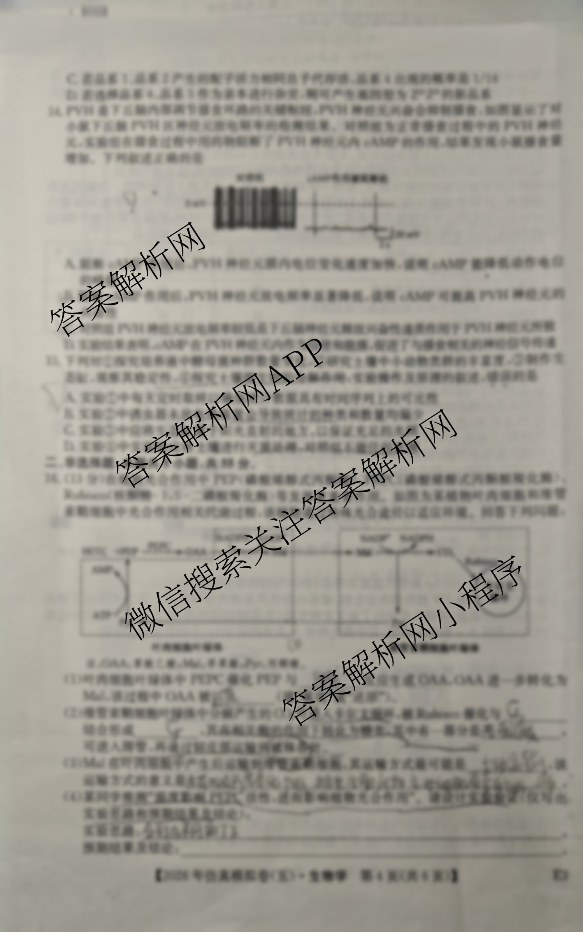 2026年全国高考仿真模拟卷(五)5（35科全）生物试题