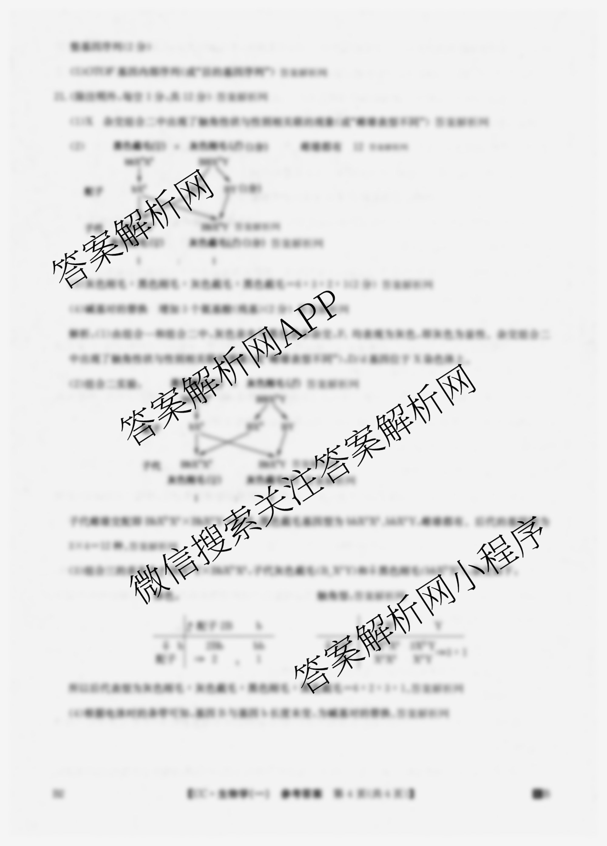 2026年全国高考冲刺压轴卷(一)1试卷及答案汇总: 含历史(四川)、生物(B1)、生物(湖北)试卷解析生物答案