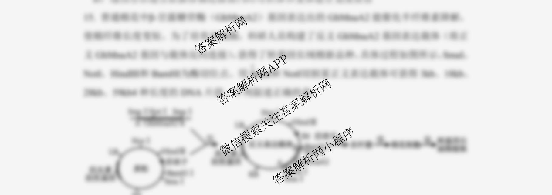 成都七中2025-2026学年度高三(上)一诊模拟检测各科答案及试卷（含化学、地理、数学等）生物试题