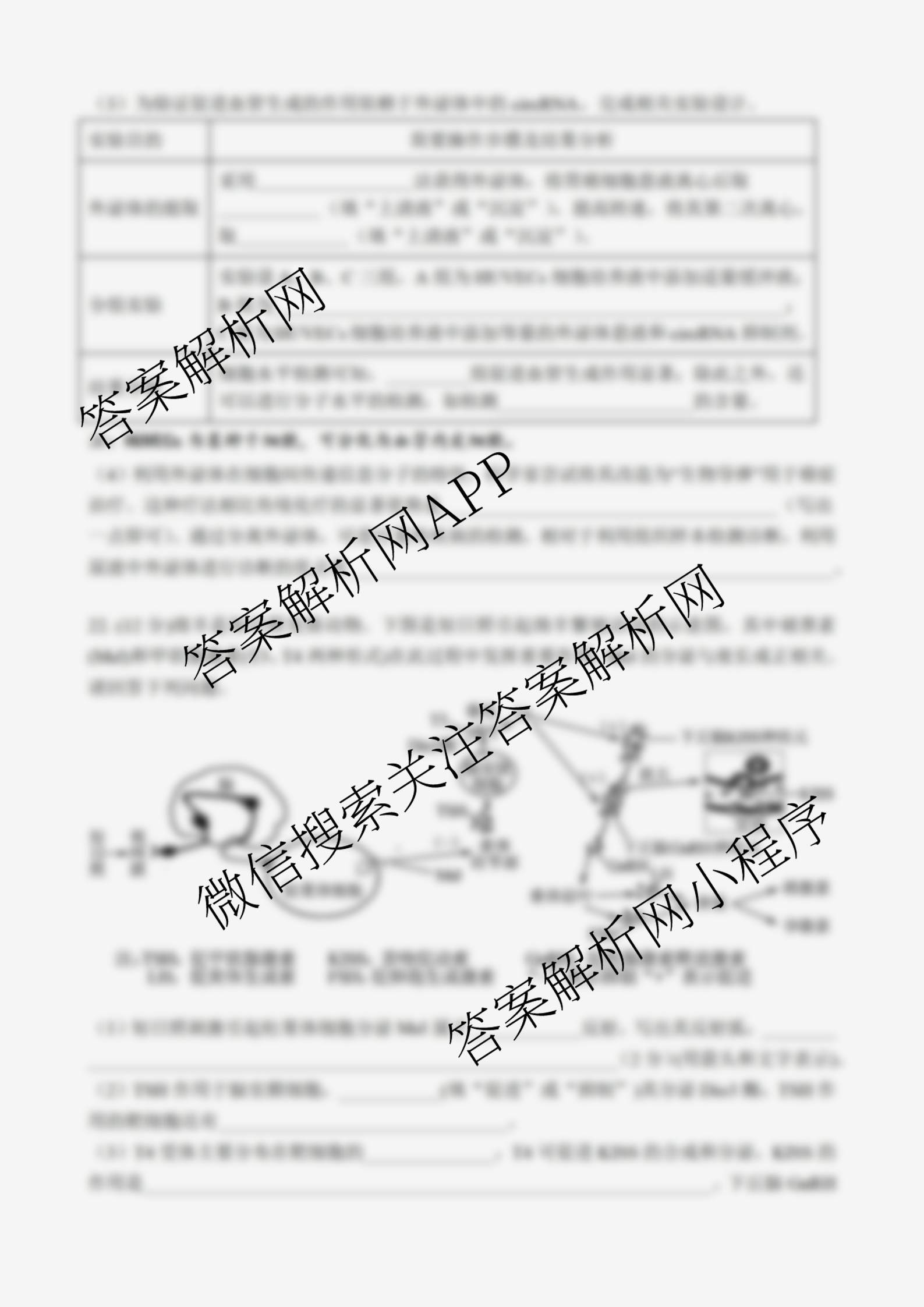 江苏省江阴市三校2025-2026学年度第一学期12月联合考试高三试卷及答案汇总(已更新政治 生物 物理等9份)生物试题