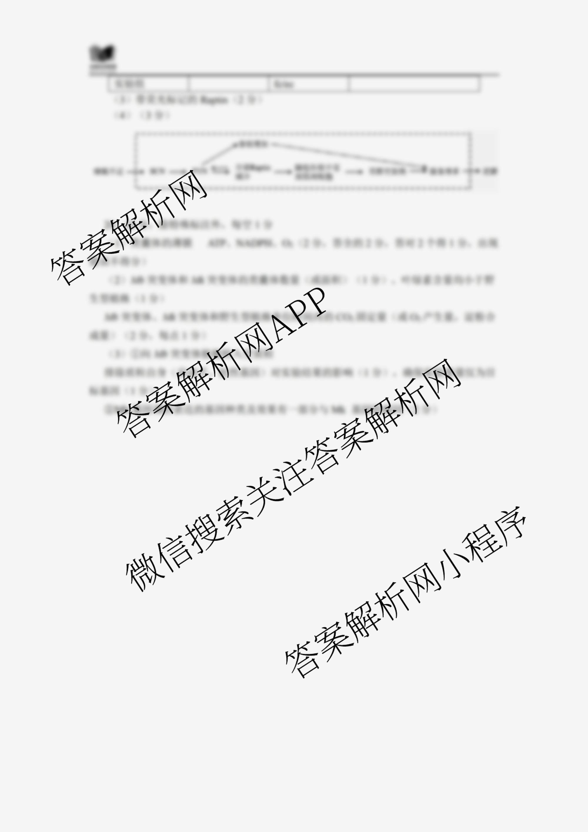 全国名校联盟2026届高三联合开学模底考试2025.8（含数学 政治 历史等10份）生物答案