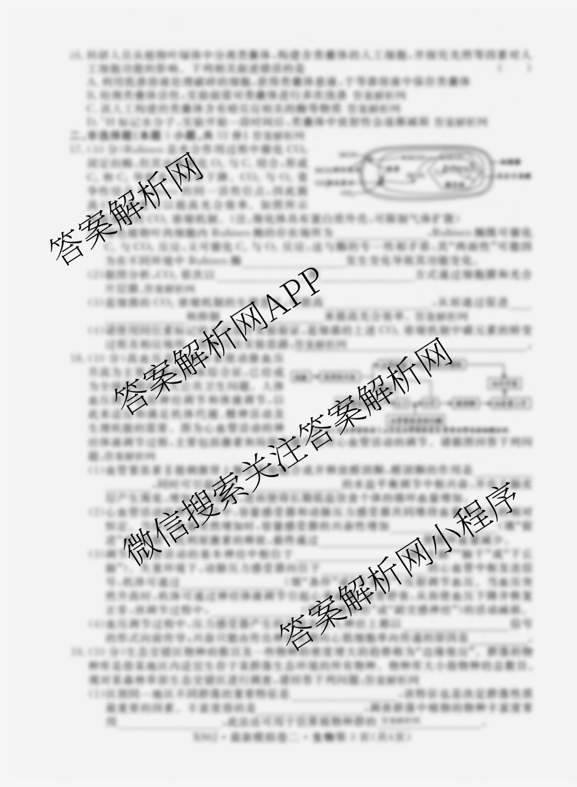 2026年普通高等学校招生统一考试最新模拟卷(二)2试卷及答案汇总（含英语(XS6)、化学(XS6J)、生物(XS6J)等）生物试题