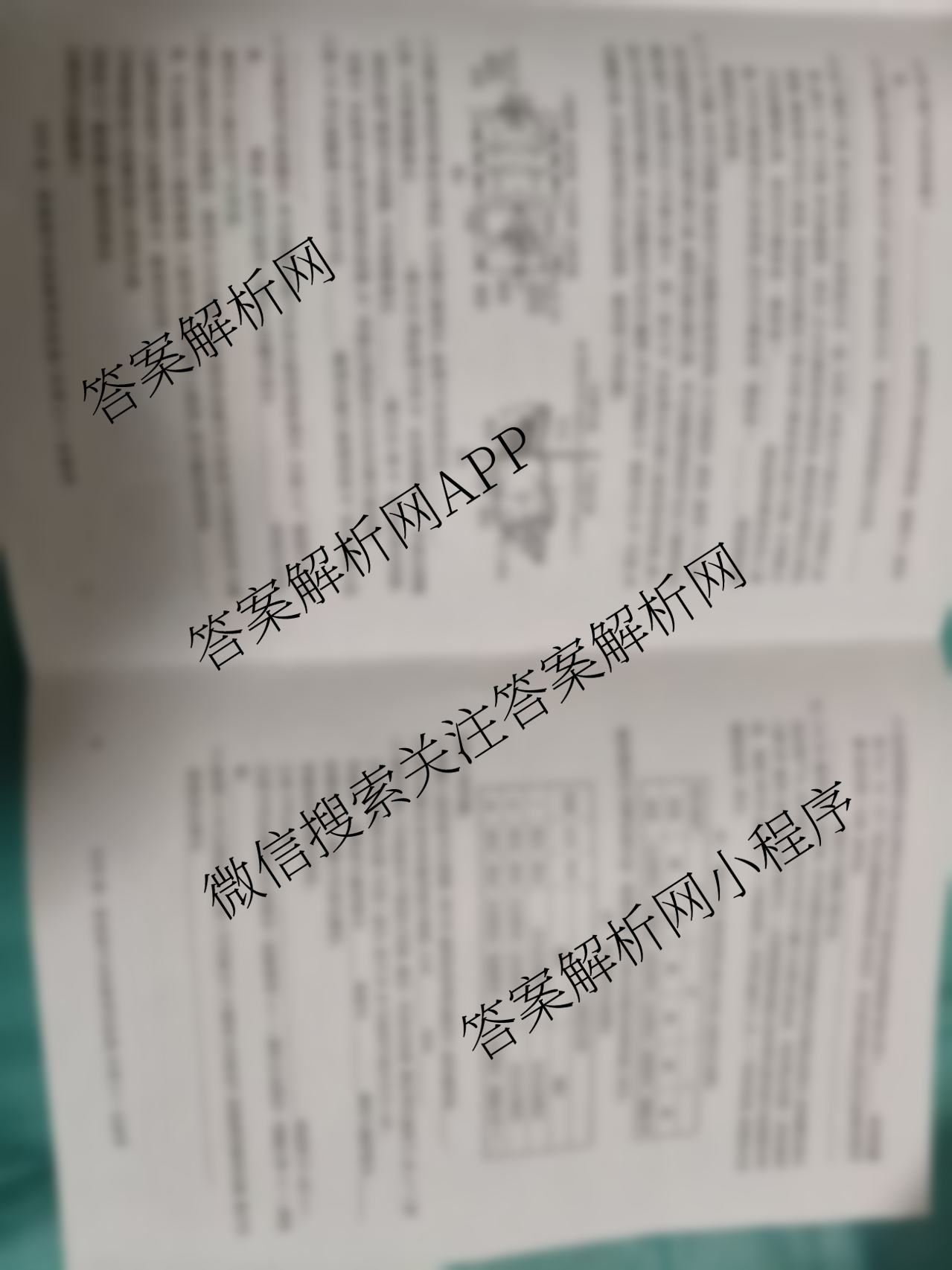 名校大联考2026届普通高中名校联考信息卷(月考三)各科答案及试卷: 含化学 英语 政治试卷解析生物试题