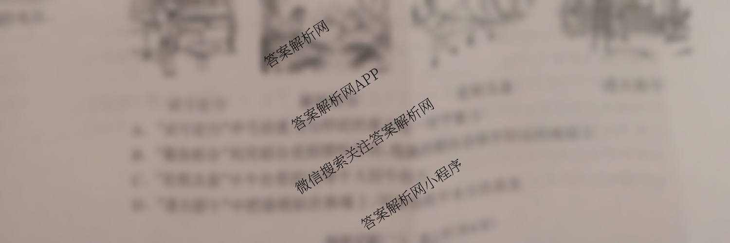 2025年河南省中考仿真模拟考试(二)5.28各科答案及试卷（7科全）物理试题