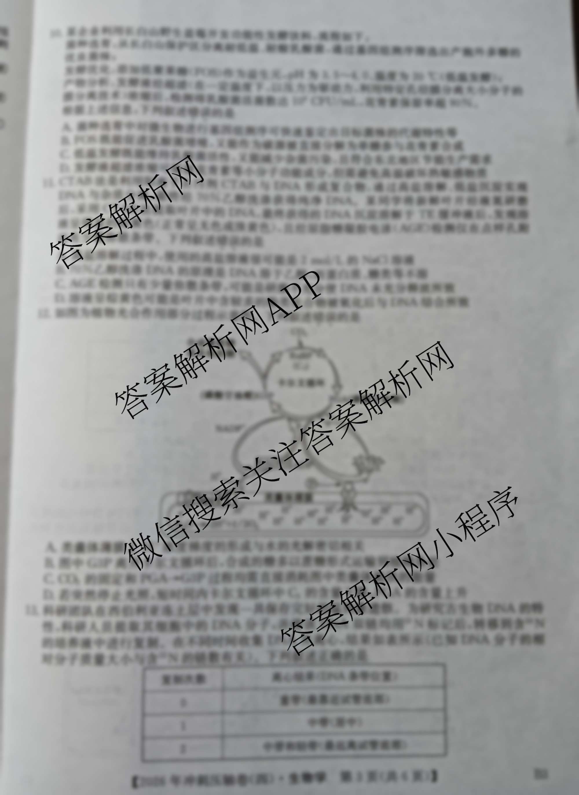2026年全国高考冲刺压轴卷(四)4（含物理(AH) 数学 政治(湖北)等）生物试题