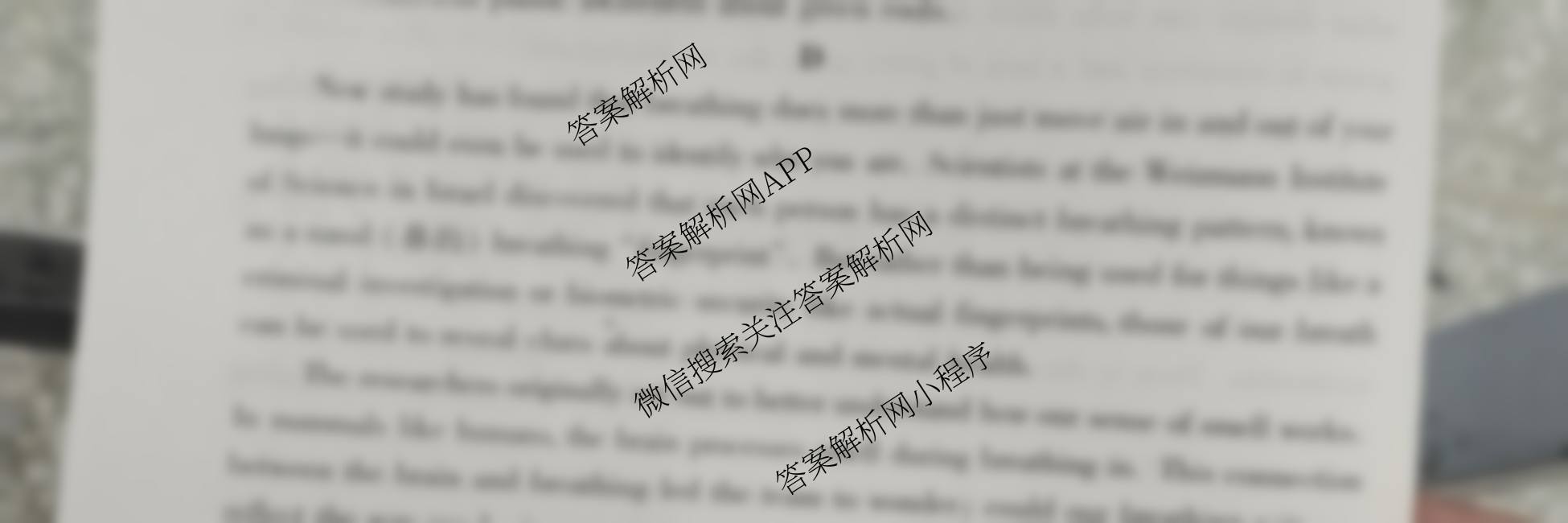 河南省2026年高考备考第一次调研模拟卷高三（含数学 化学 英语等）英语试题
