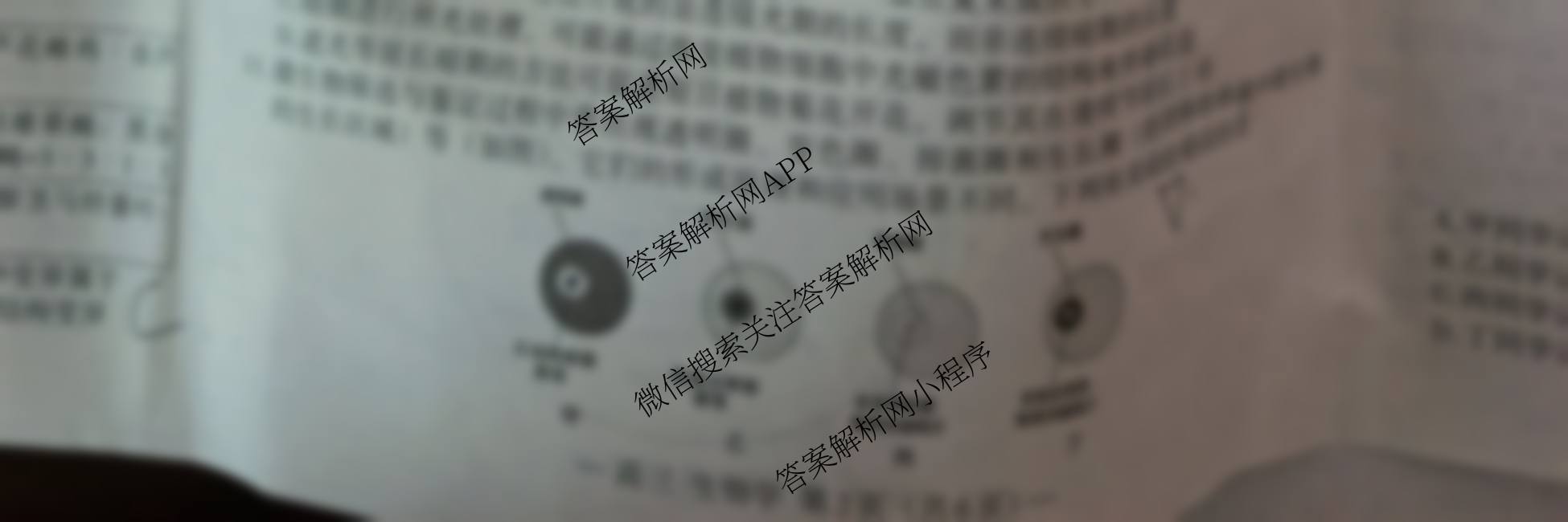 江西省南昌市2025年高三年级九月测试试卷及答案汇总(已更新地理 数学 英语等9份)生物试题