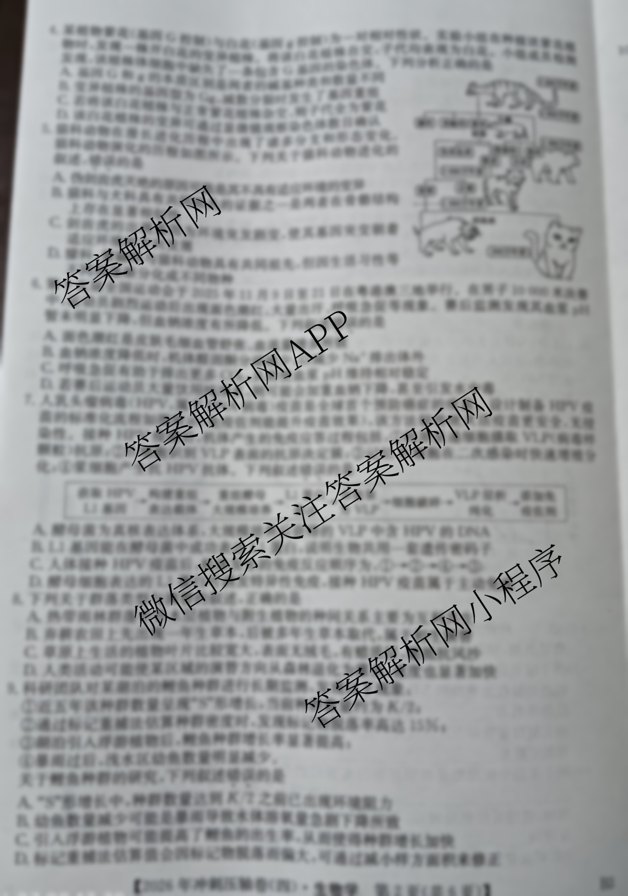 2026年全国高考冲刺压轴卷(四)4（含物理(AH) 数学 政治(湖北)等）生物试题