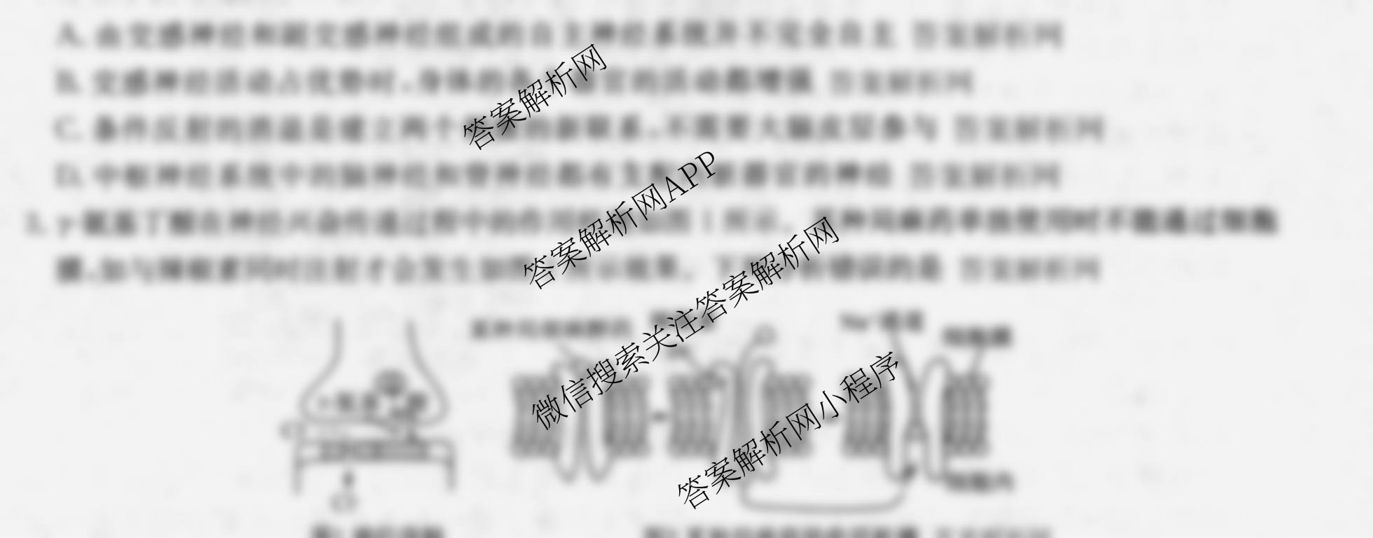 衡水金卷先享题月考卷2025-2026学年度上学期高二年级期末考试（含化学(人教版) 语文(B版) 物理等9份）生物试题