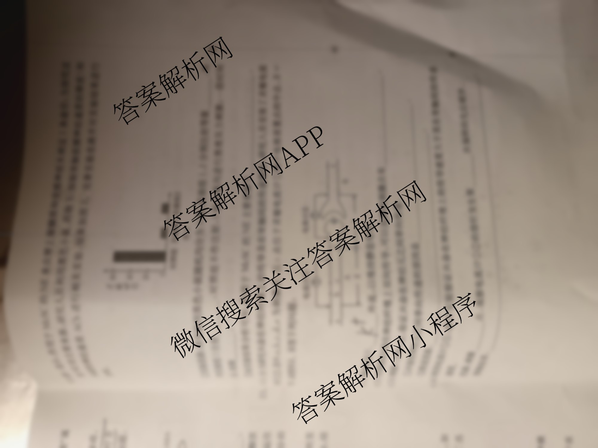 陕西省2025-2026学年高二年级考试(10.9)各科答案及试卷: 含化学(B1) 英语 地理试卷解析生物试题