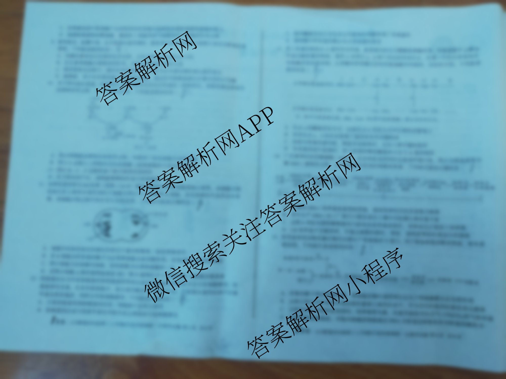 1号卷A10联盟2026届高三上学期8月底学情调研考各科答案及试卷（13科全）生物试题