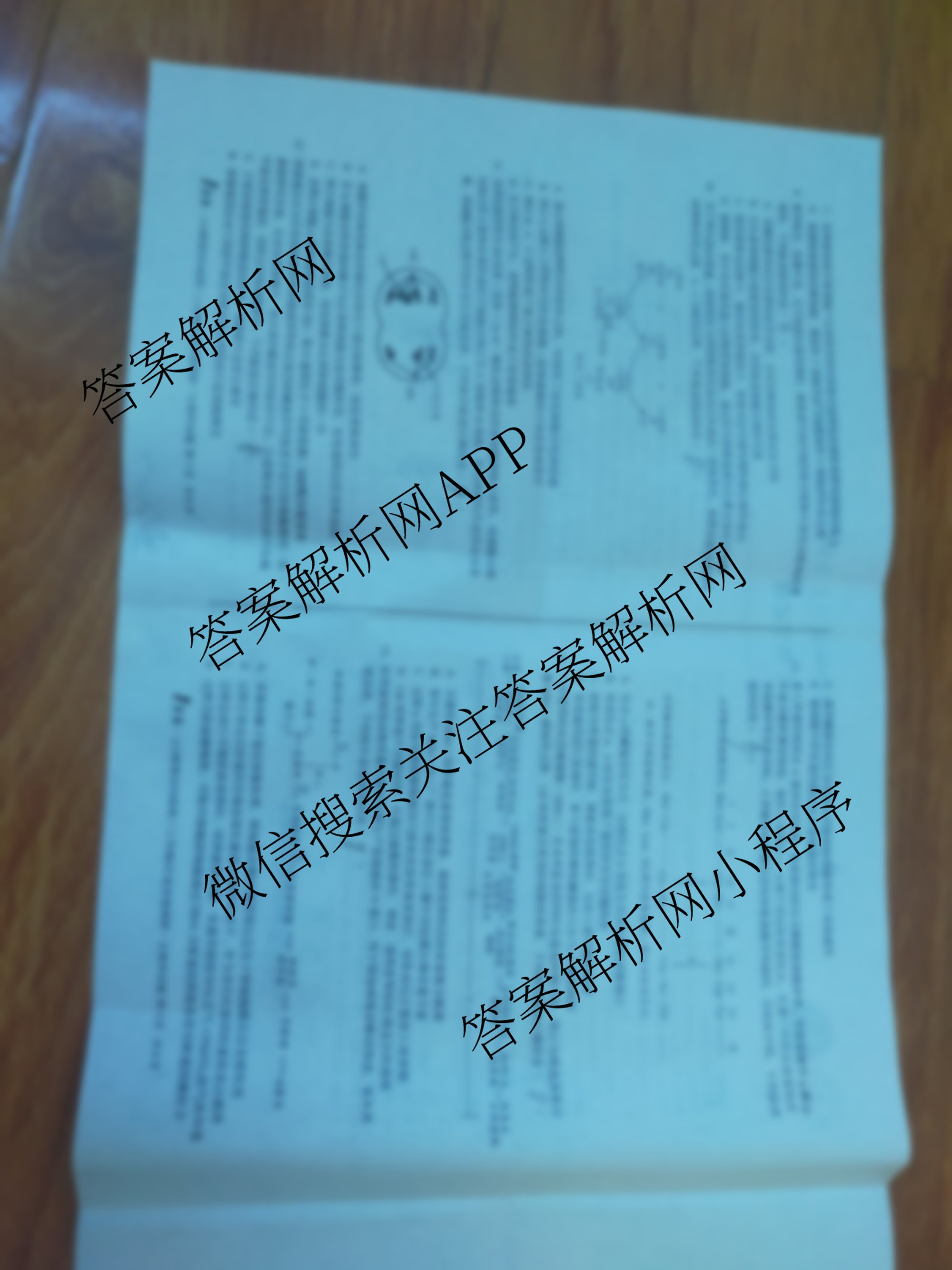 1号卷A10联盟2026届高三上学期8月底学情调研考各科答案及试卷（13科全）生物试题