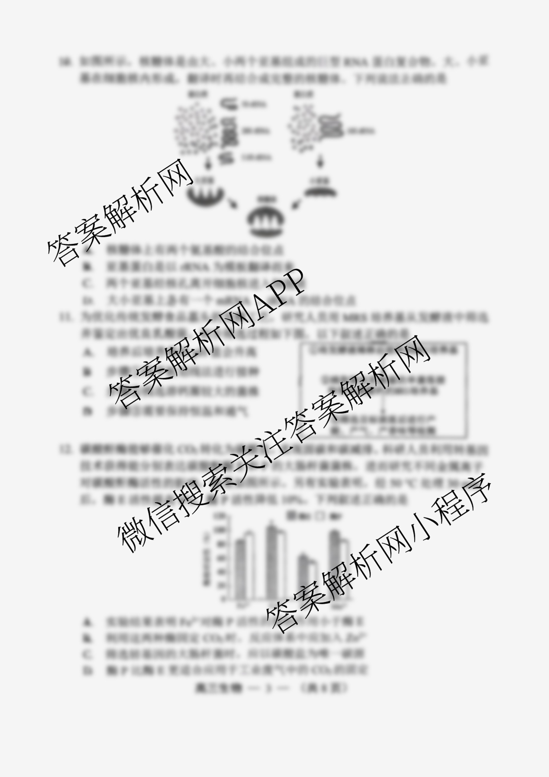 2025-2026学年福州市高三年级第一次质量检测各科答案及试卷（10科全）生物答案