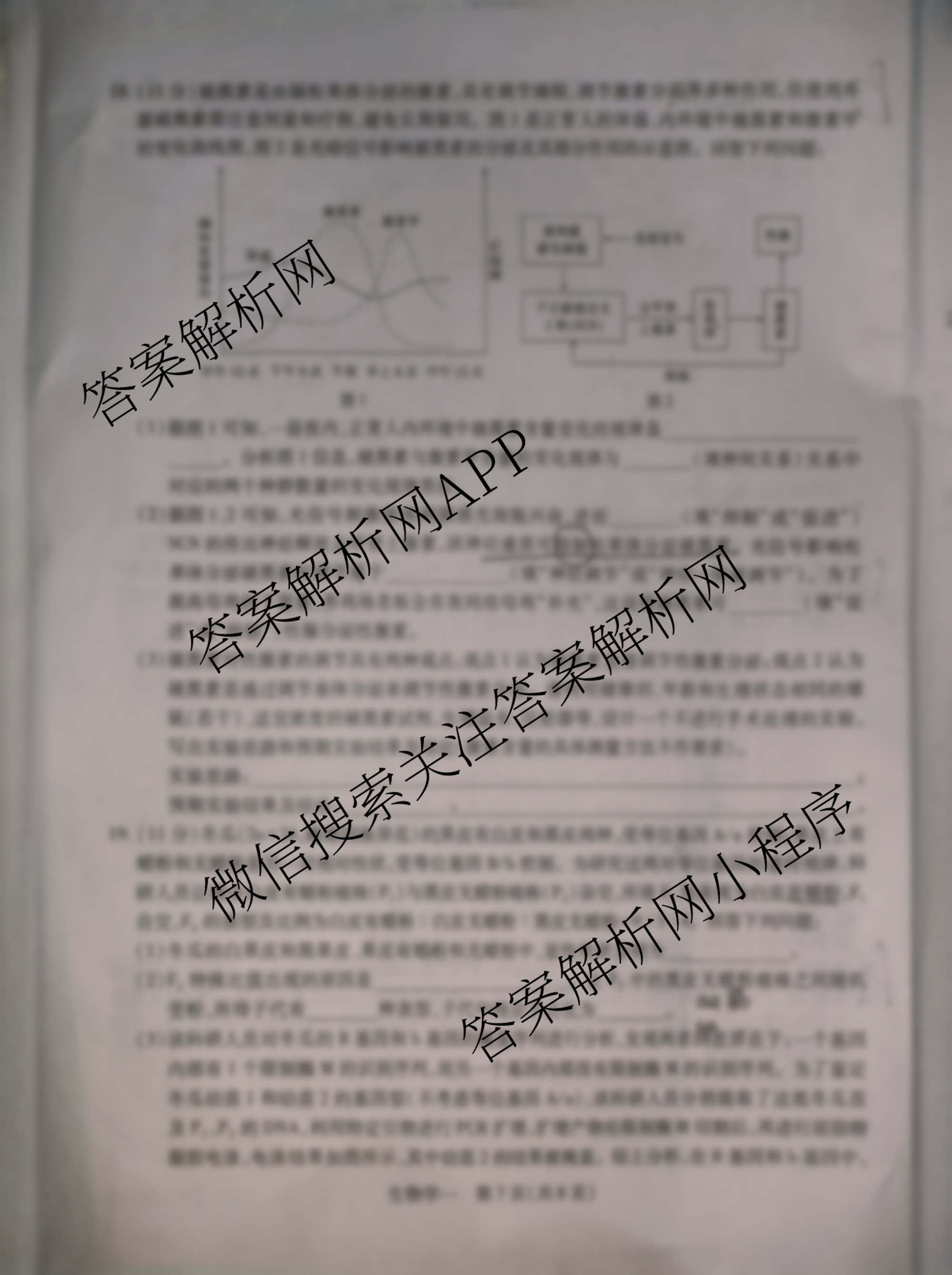 2026届智慧上进名校学术联盟高考模拟信息卷&冲刺卷&预测卷(一)1各科答案及试卷（含化学(GD-26-1) 物理(AH) 生物(II)等）生物试题