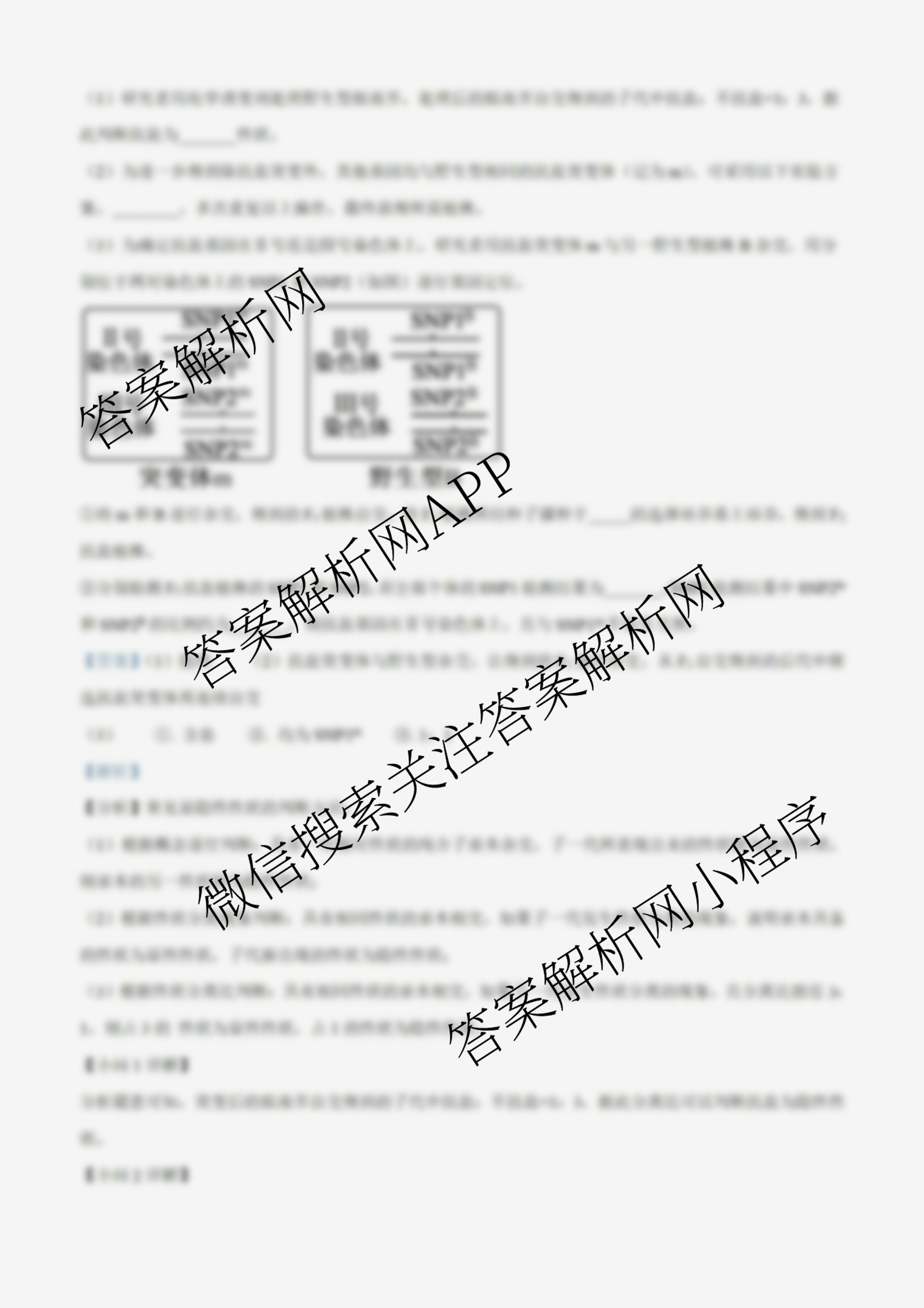 山东省实验中学2026届高三第一次诊断性考试(2025.10)各科答案及试卷: 含化学 历史 数学试卷解析生物答案