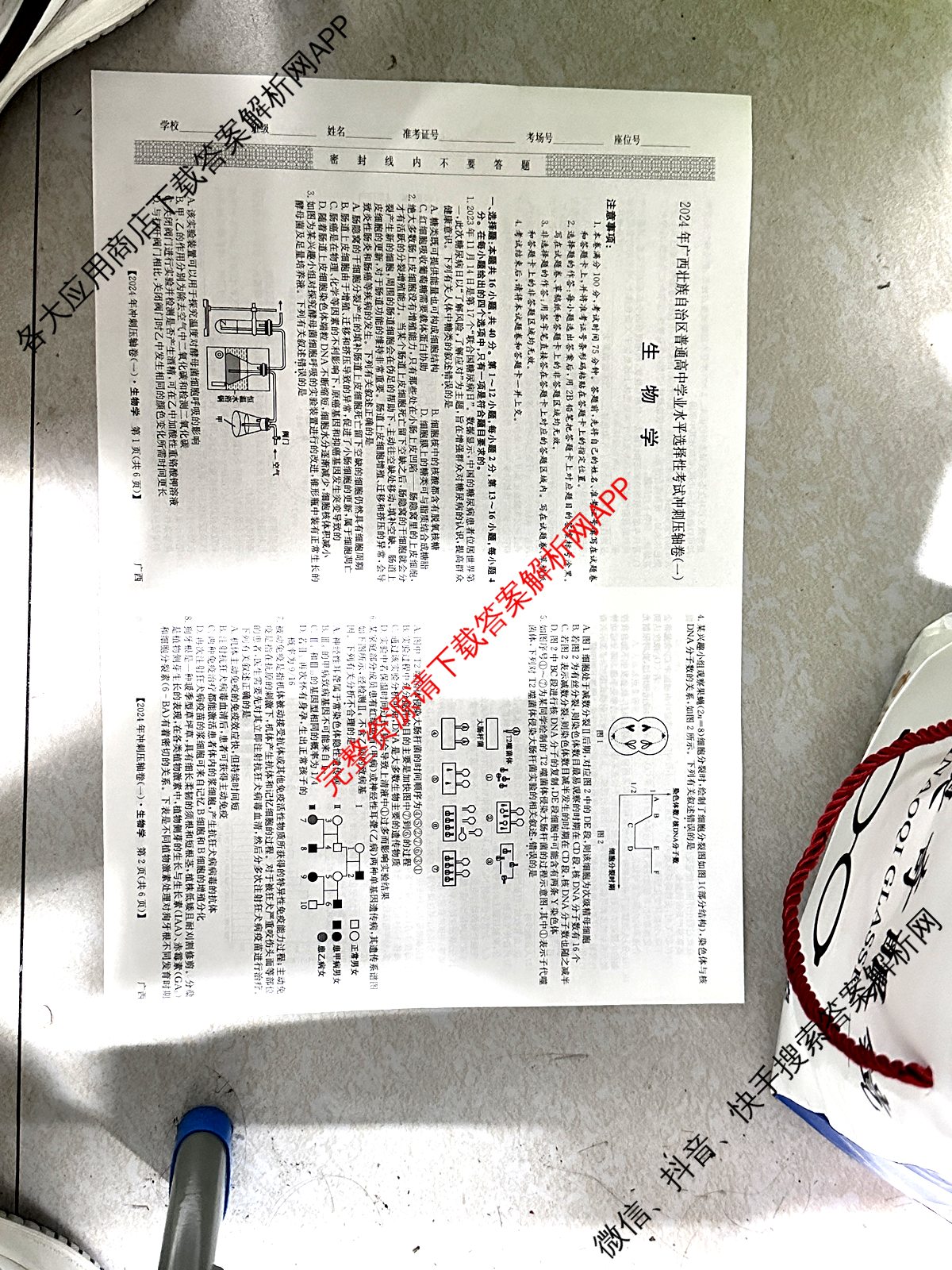 2024年广西壮族自治区普通高中学业水平选择性考试冲刺压轴卷(一)1生物(广西)试题
