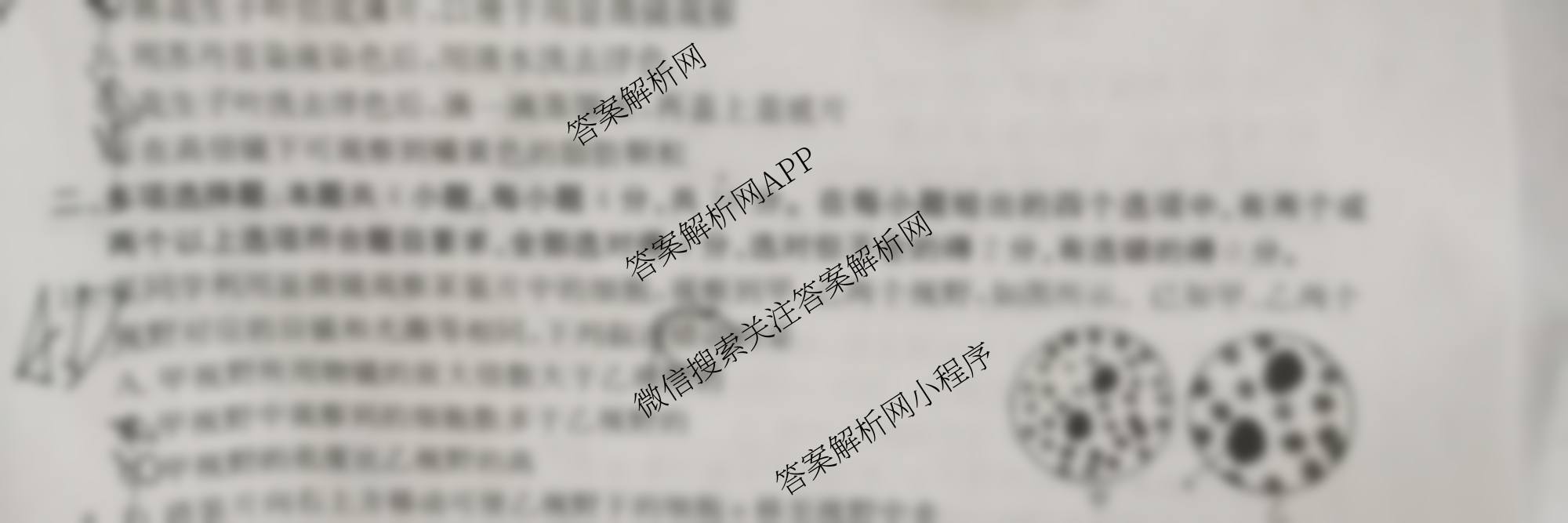 江西省2025-2026学年高一年级考试(10.10)各科答案及试卷（9科全）生物试题