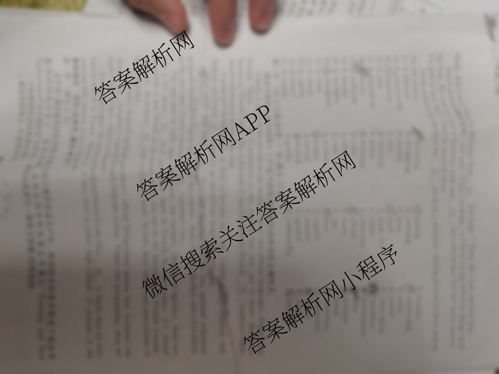 四市普通高中2024-2025学年度高二第一学期期中教学质量检测(25067B)（含政治、化学、英语等9份）英语试题